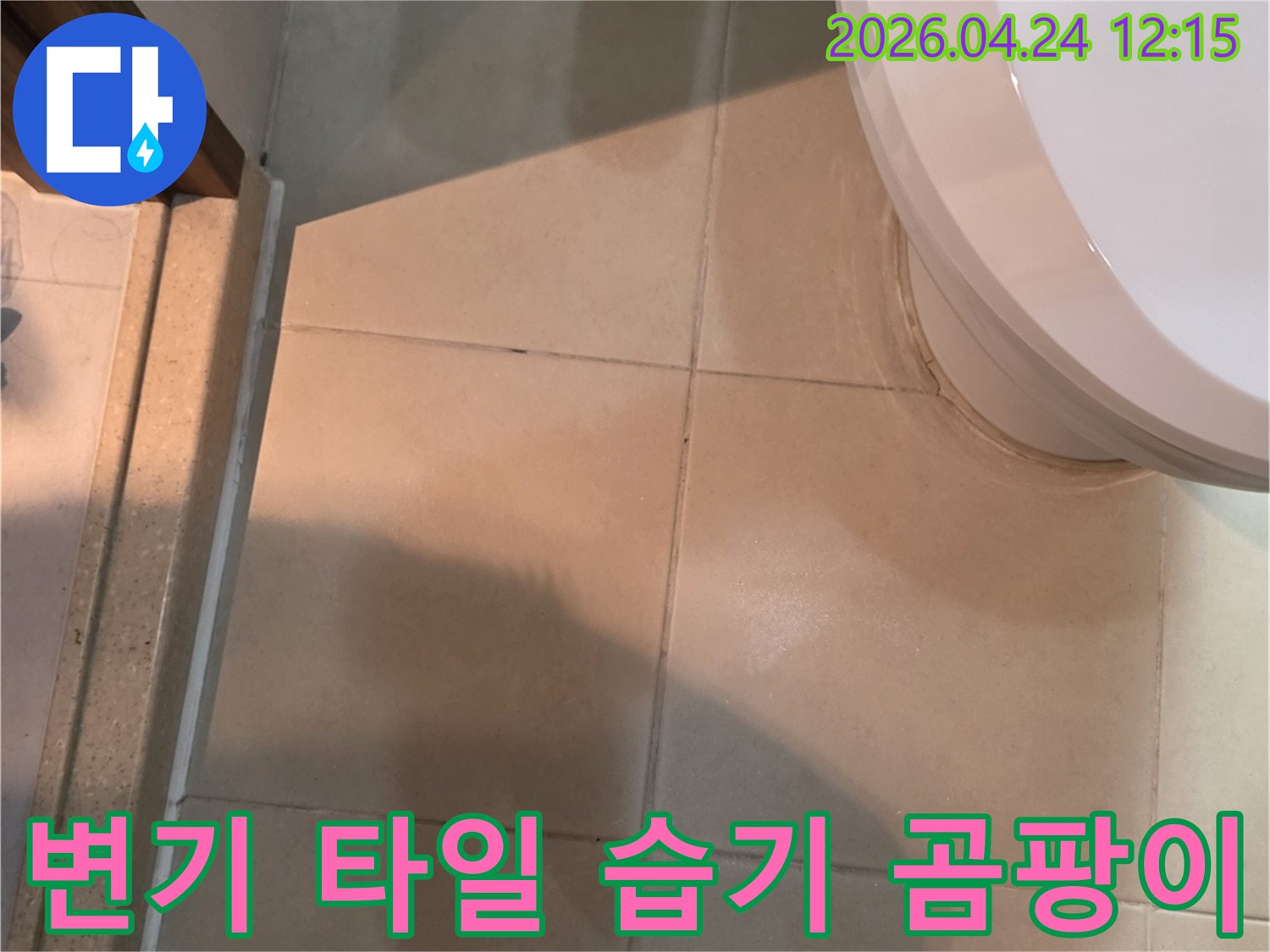 변기 주변 타일의 습기와 곰팡이-누수로 인한 지속적인 물기 노출의 결과