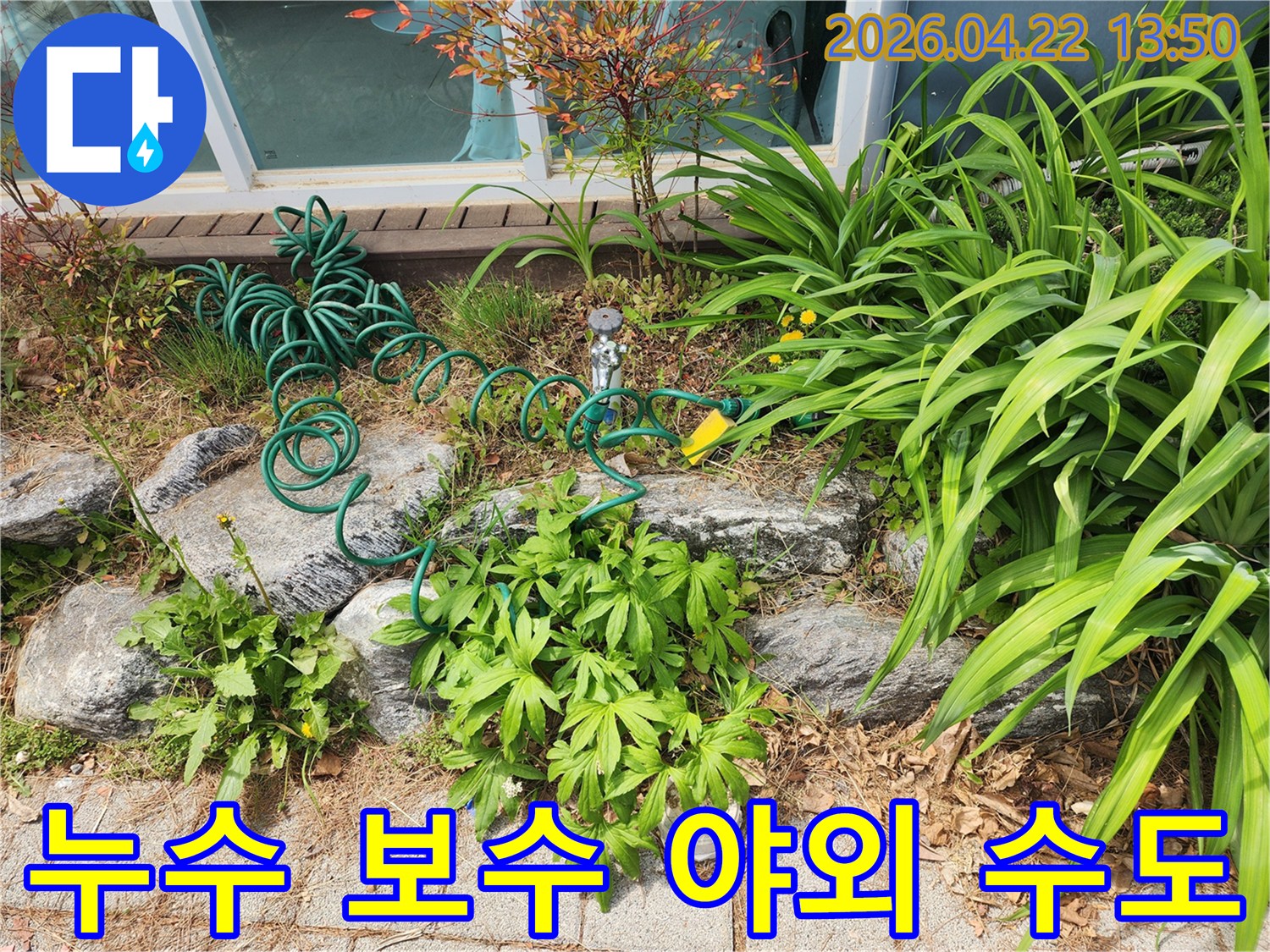 야외 수도꼭지와-연결된 정원 호스 주변의-누수 보수 전-현장 점검 사진