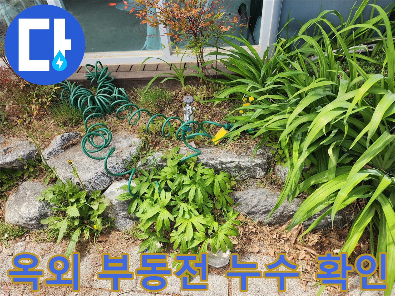 정원에 설치된 부동전과-연결된 호스 주변에서-발생한 옥외 누수 현장을-점검하는 모습입니다