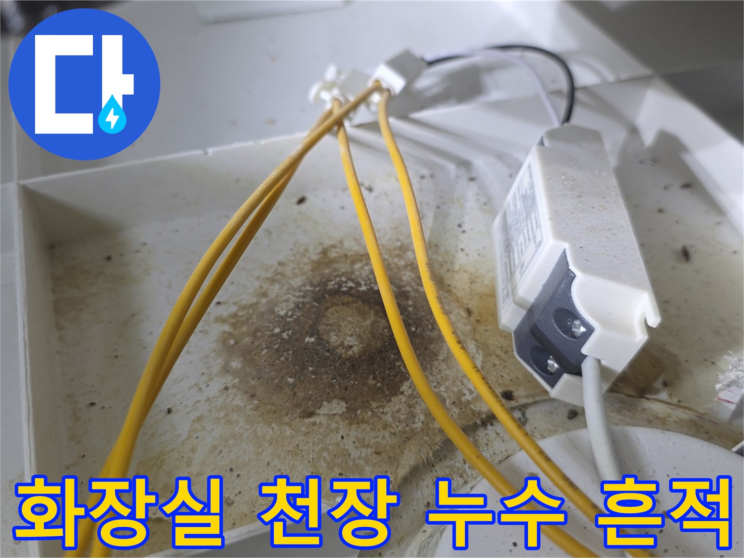 도봉구 화장실-천장 내부 배관 주변의 젖은 얼룩 상태