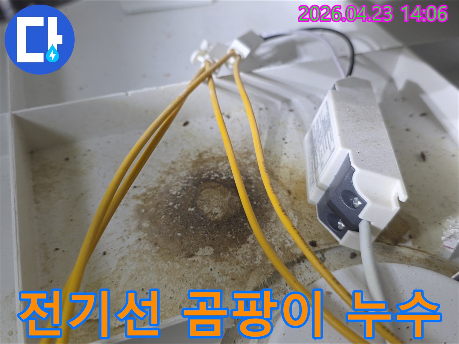 천장 내부 전기선 주변에 짙게 형성된 곰팡이와 물자국-오랜 기간 누수로 인해 발생한 심각한 오염 상태를 보여줍니다-정확한 누수 원인 파악에 필수적인 증거입니다