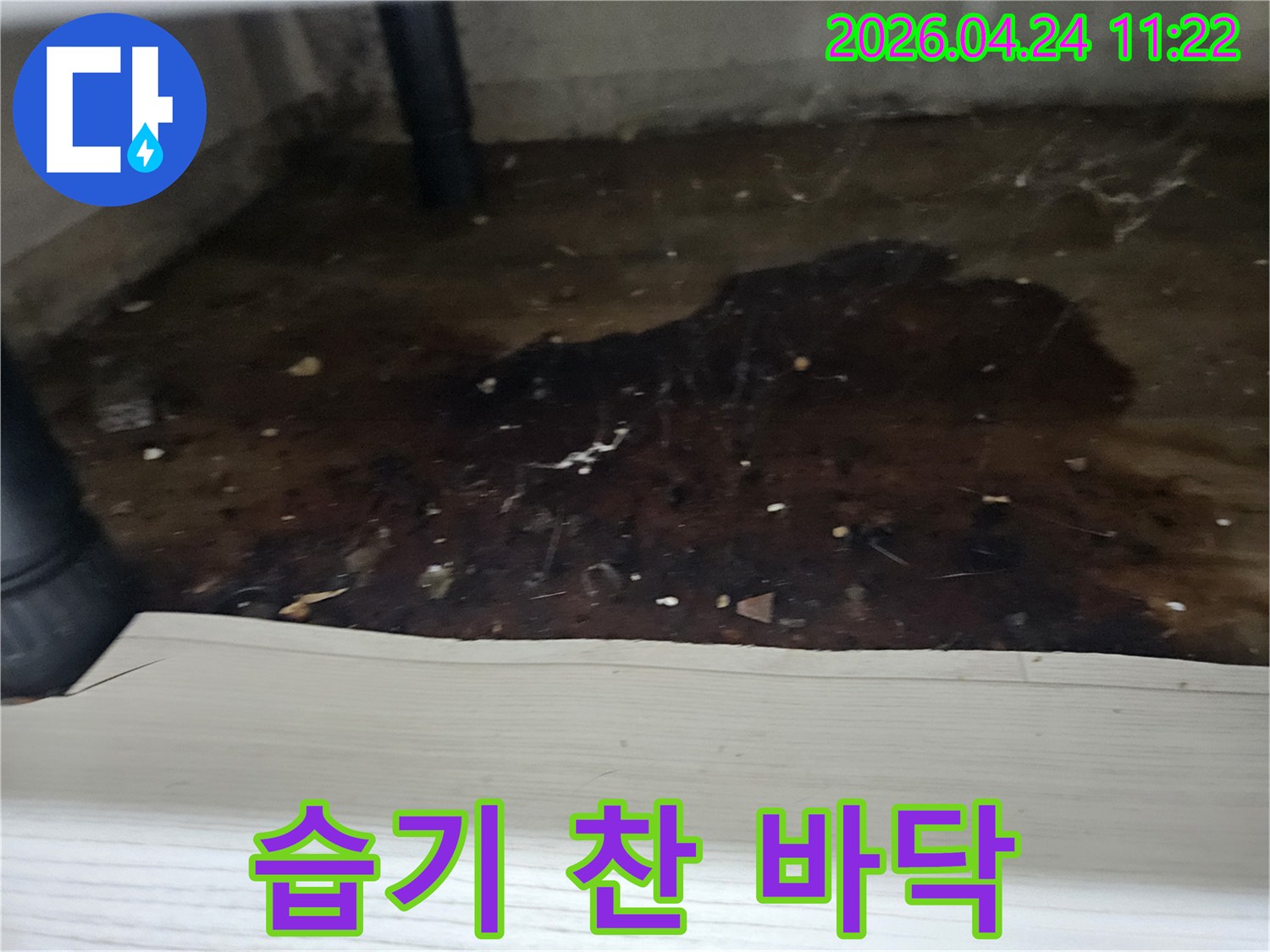 배관에서-물이-새어-나와-바닥에-고여-오염된-상태를-누수-엔지니어가-촬영한-사진