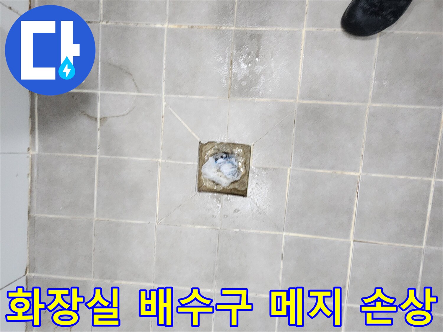서대문구-화장실-배수구-주변-타일-메지-손상으로-인한-누수-현장-진단