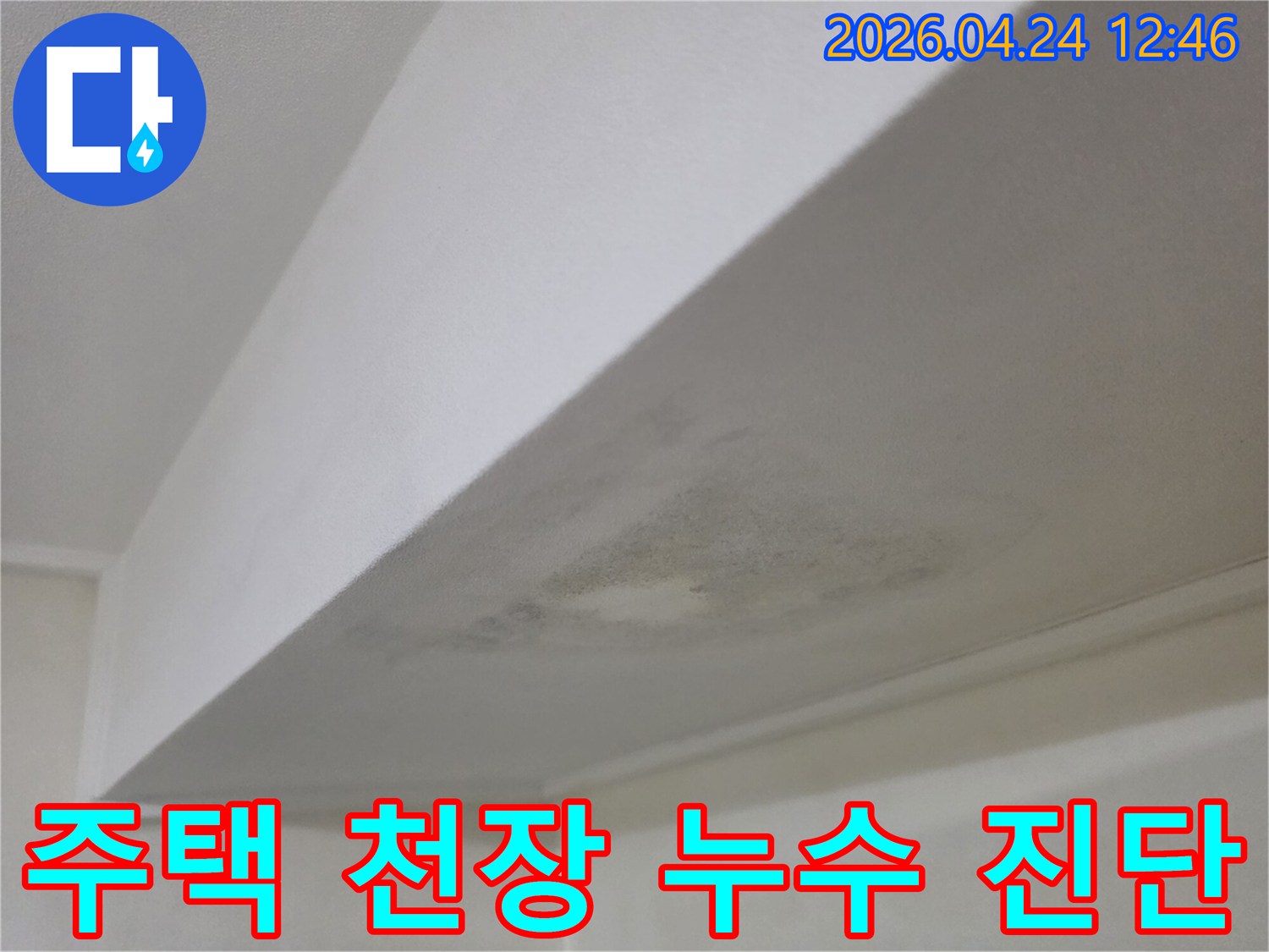 주택 천장에 발생한 누수 흔적과 곰팡이-정밀 진단과 복원 공사를 위한 현장 사진