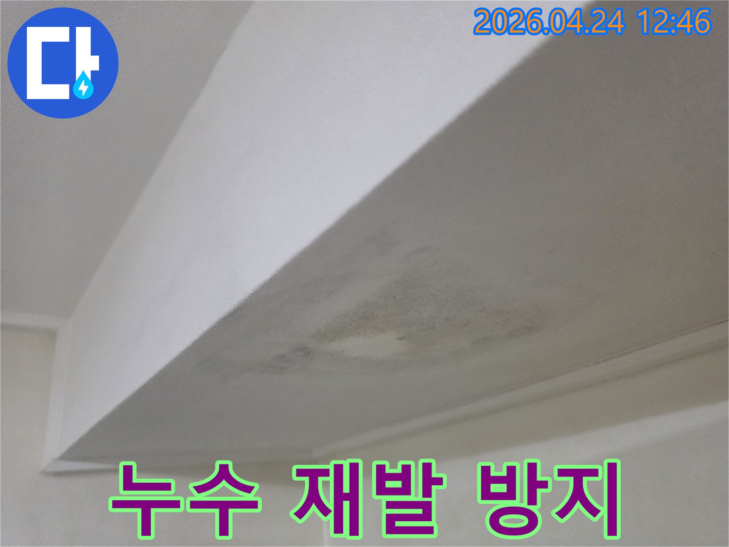 천장에 발생한 누수 흔적과 곰팡이-재발 방지 공사를 위한 전문가의 현장 진단 사진
