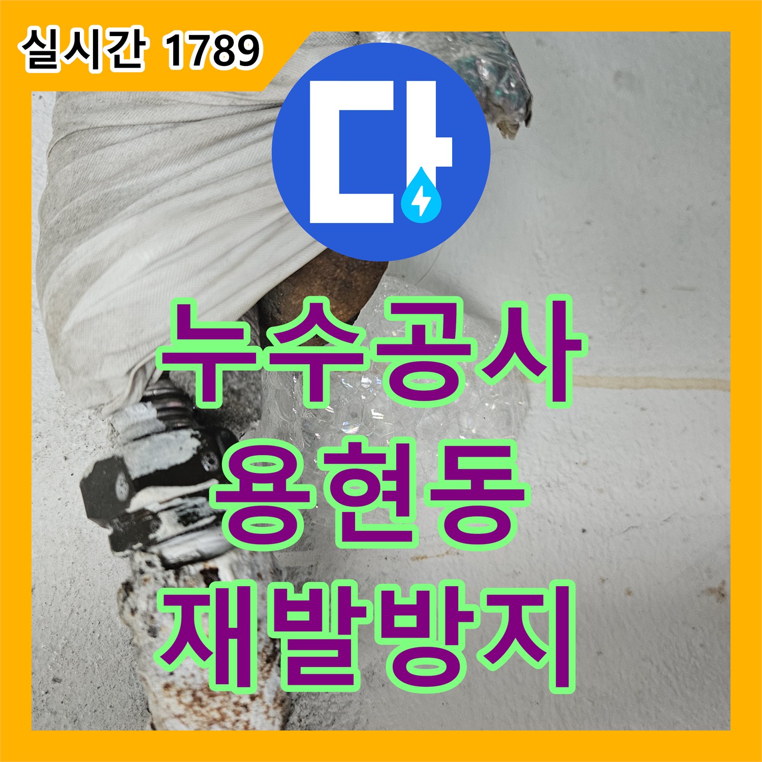 누수탐지전문 - 백화현상으로 나타난 누수, 전문적으로 진단한 인천