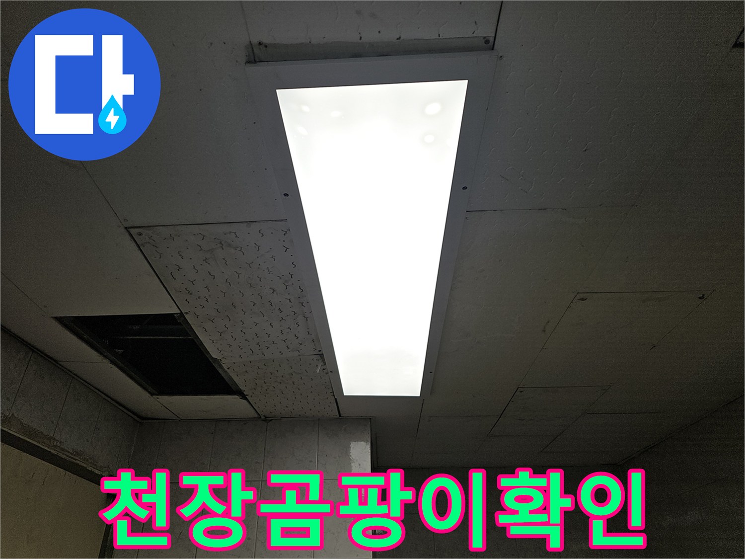 누수-엔지니어가-천장-누수-원인을-찾기-위해-점검구를-열어-내부-곰팡이-발생-여부를-확인하는-모습