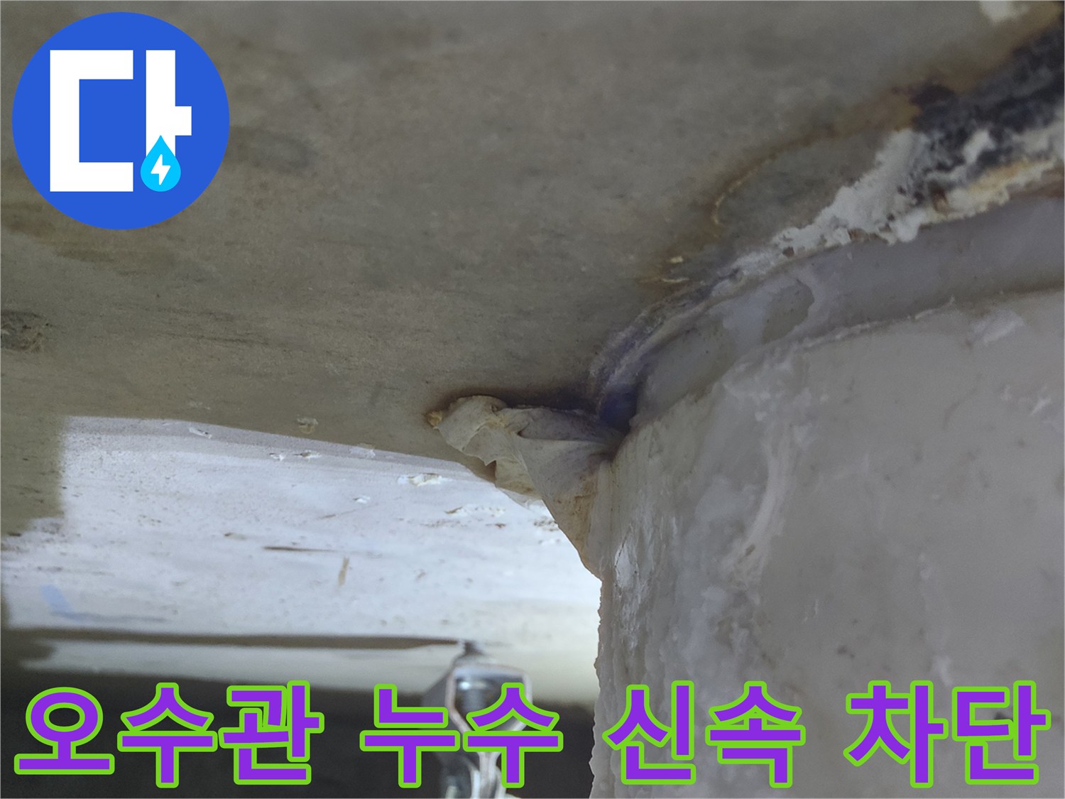 오수관에서-물이 새어 나와-천장으로-흐르는-누수 현장-신속한 조치로-추가 피해 완벽 차단