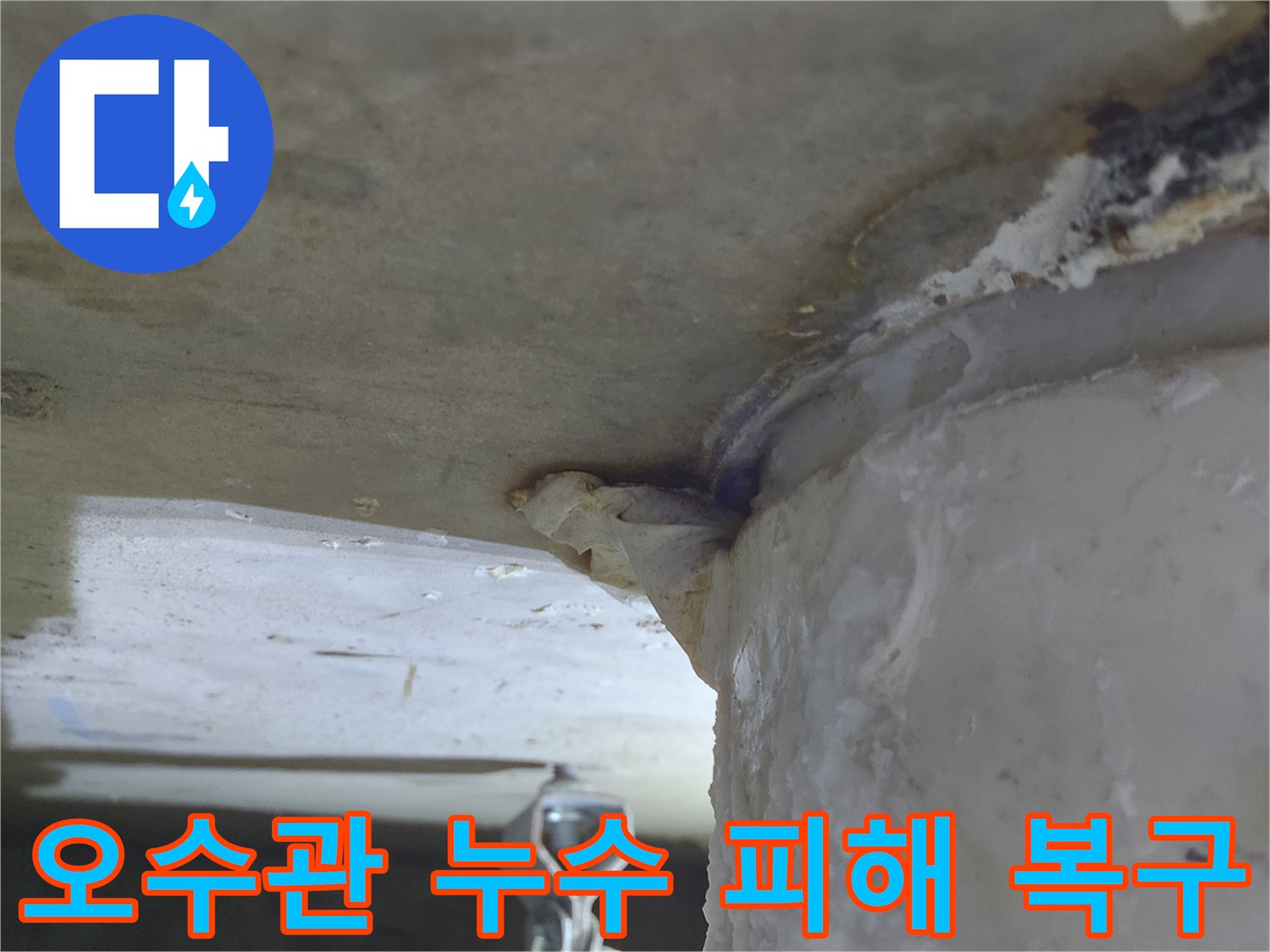 오수관에서-물이 새어 나와-천장으로-흐르는-누수 현장-피해 복구까지