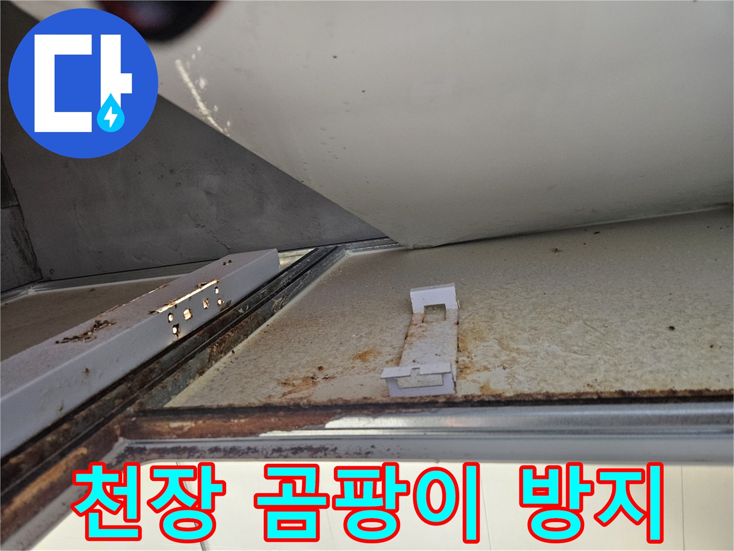욕실 천장 내부에서 누수 보수 후 곰팡이 방지 시공-쾌적하고 위생적인 환경 유지