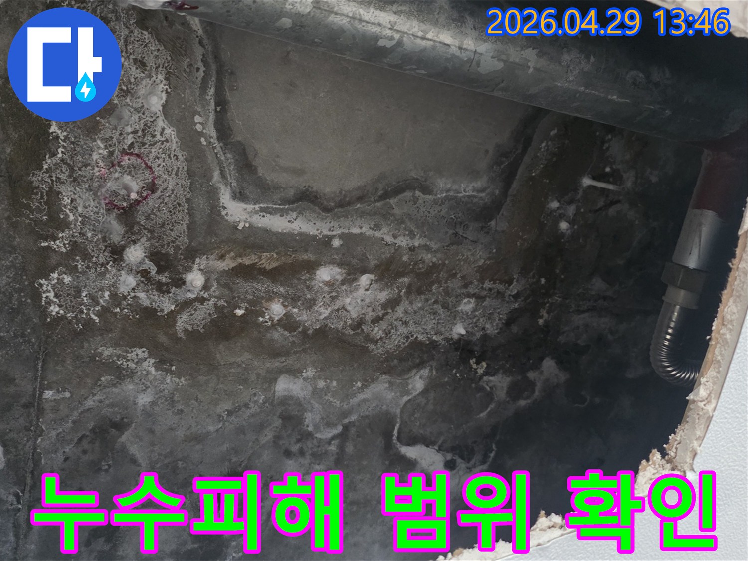 천장 콘크리트 표면에-누수로 인한 물자국과-얼룩이 광범위하게 퍼져있는 현장 사진입니다.