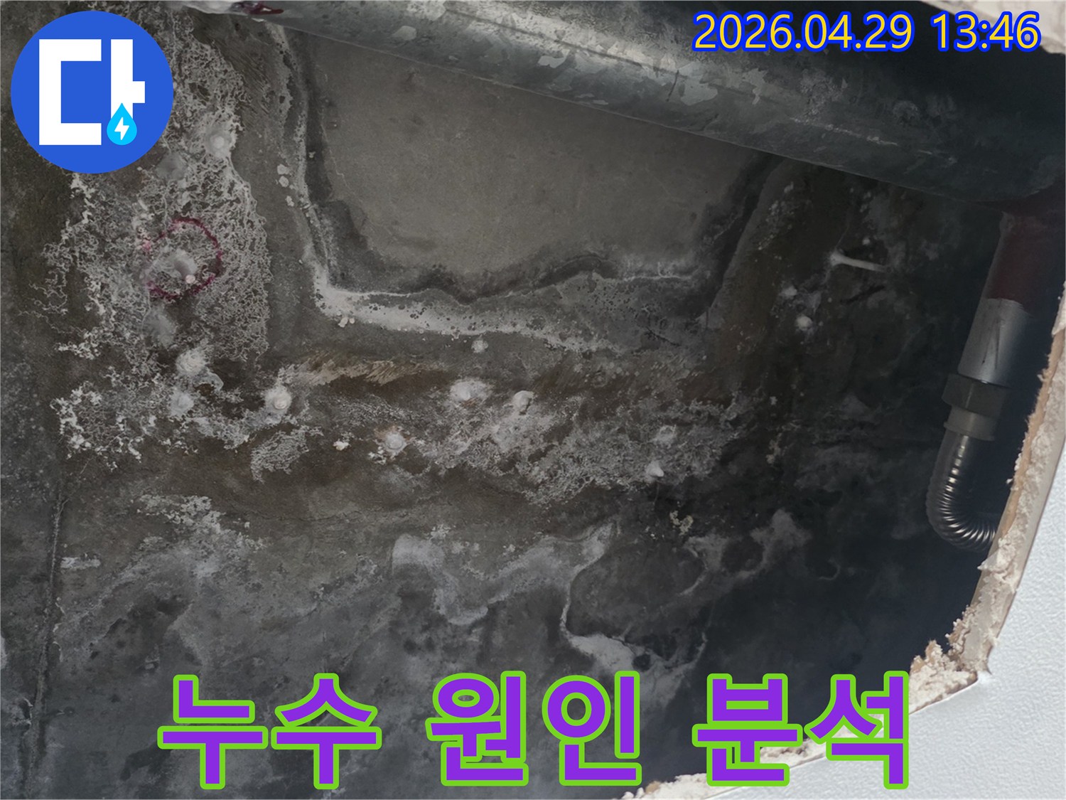천장 콘크리트 표면에-누수로 인한 물자국과-얼룩이 광범위하게 퍼져있는 현장 사진입니다.