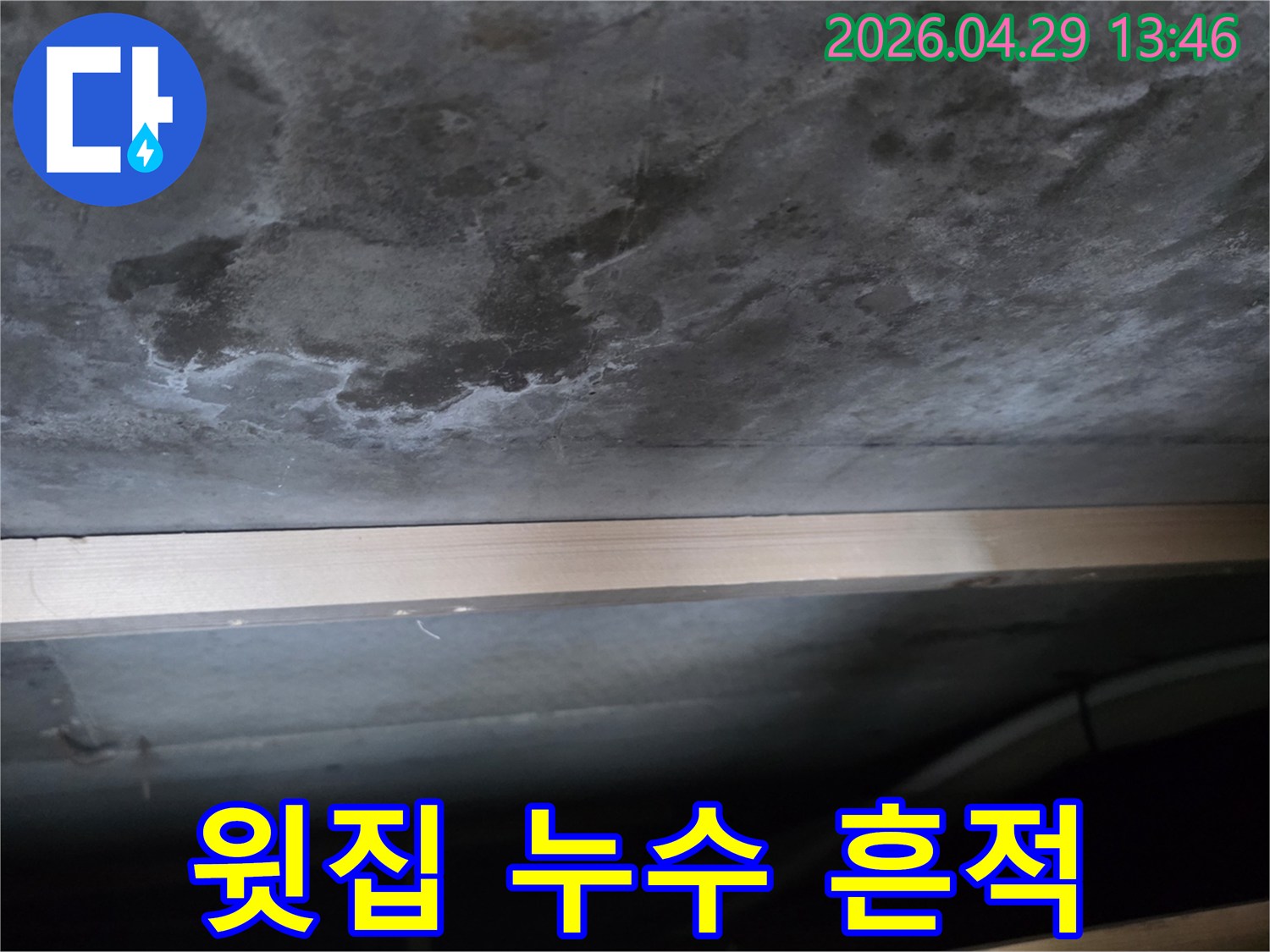 천장 콘크리트 표면에 물이 새어 생긴 얼룩과-하얀 백화 현상이 뚜렷하게 관찰되는 모습입니다.