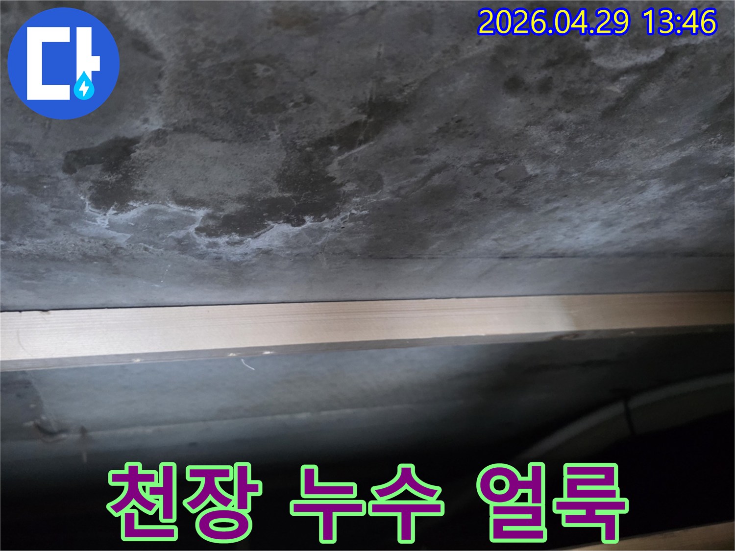 콘크리트 천장에 물이 새어 생긴 어두운 얼룩과-하얀 백화 현상이 뚜렷하게 보이는 사진입니다.