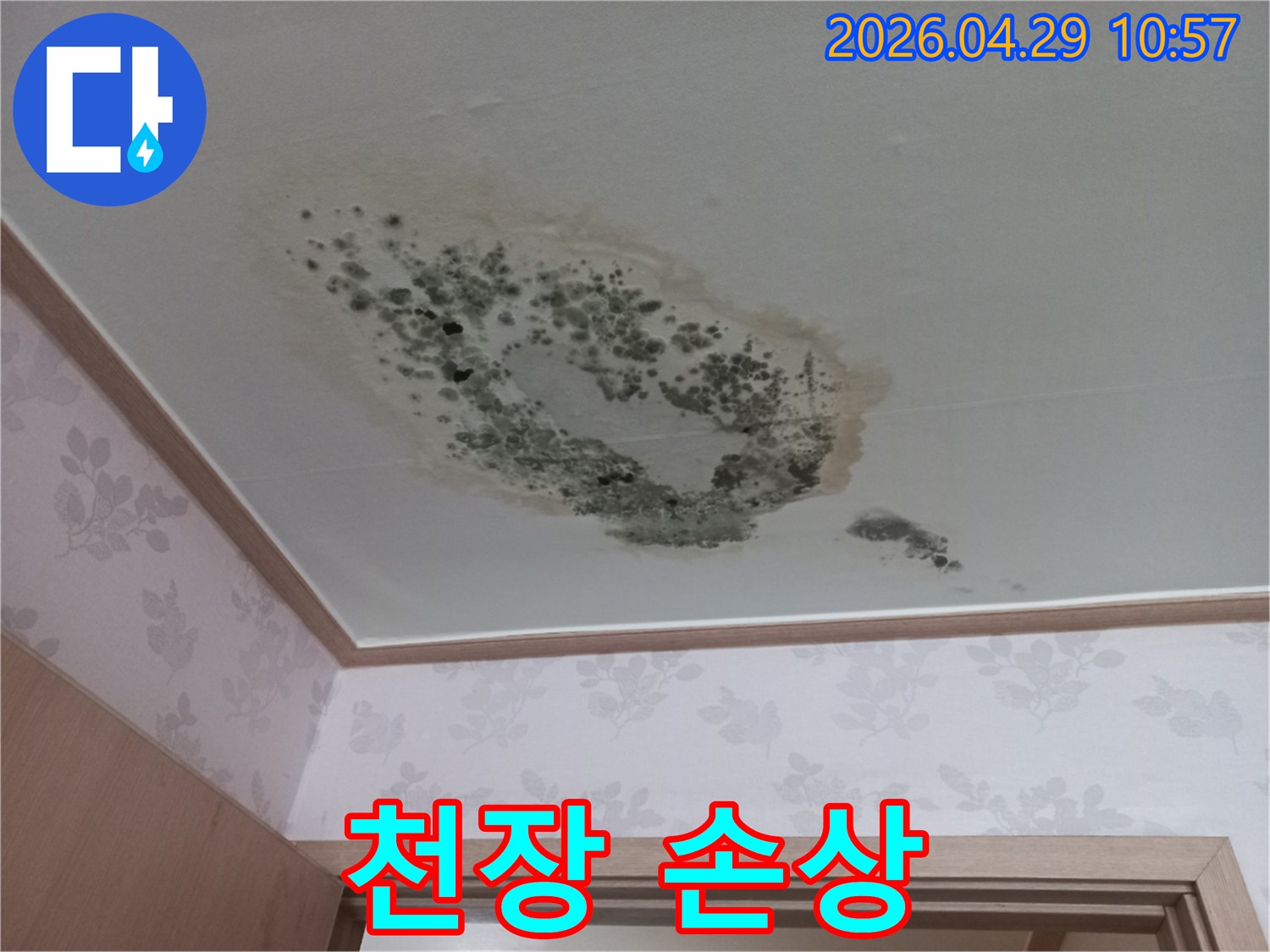 심한 물샘으로 인해 천장에 생긴-곰팡이와 얼룩을 보여주는 현장 사진입니다.