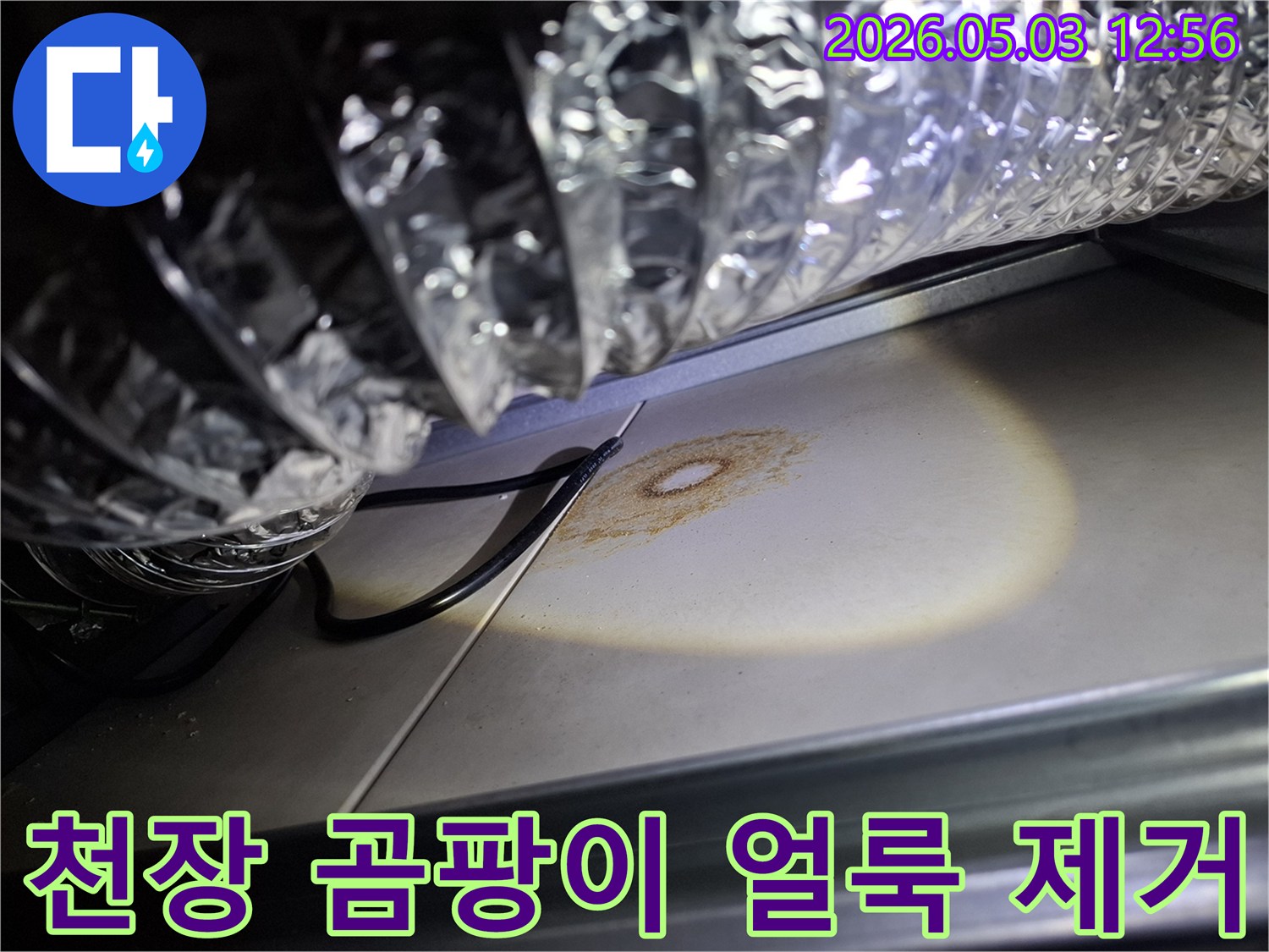 천장 마감재에 발생한 곰팡이와 물얼룩을-조명으로 비춰 제거 및 보수 계획을 세우는 모습입니다.