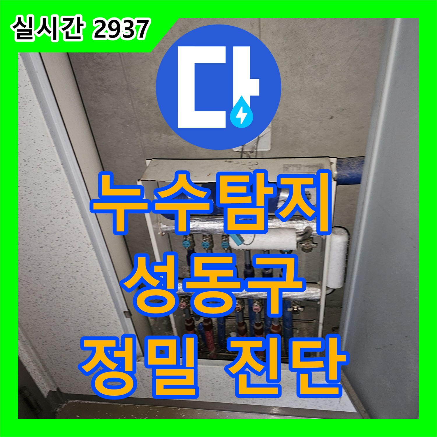 누수탐지전문, 통신 배관함 내부 누수 문제 정밀 진단한 성동구 금호동 현장
