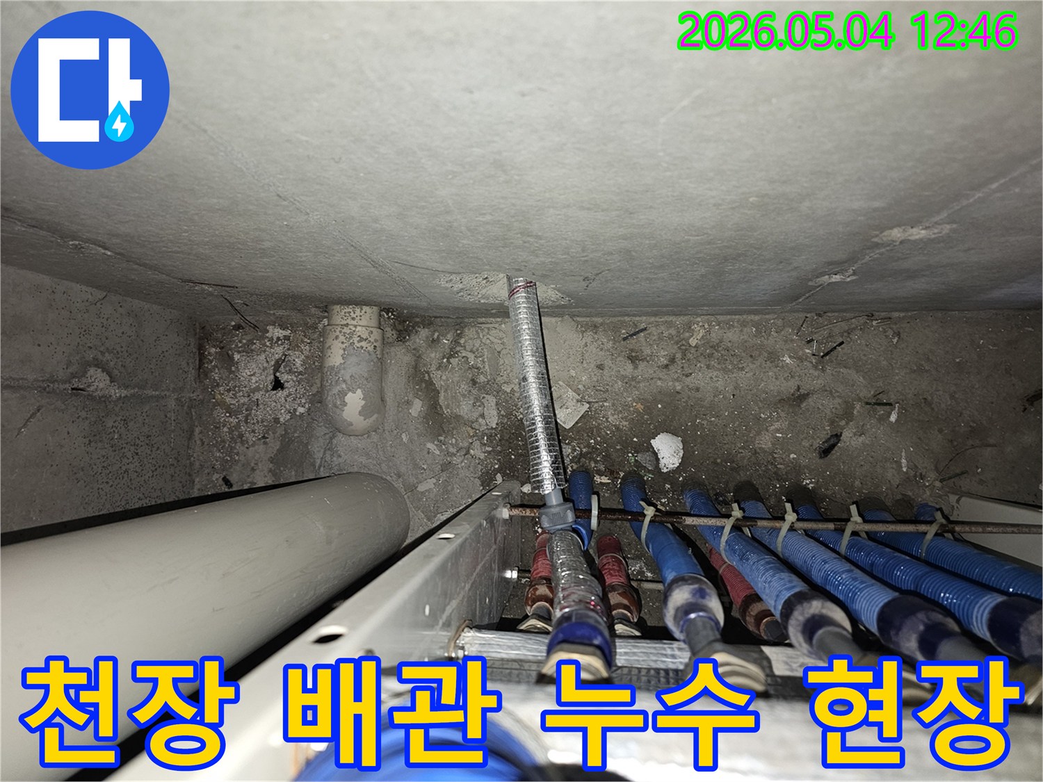 성동구-금호동-아파트-천장에서-발견된-배관-누수-탐지-현장-모습