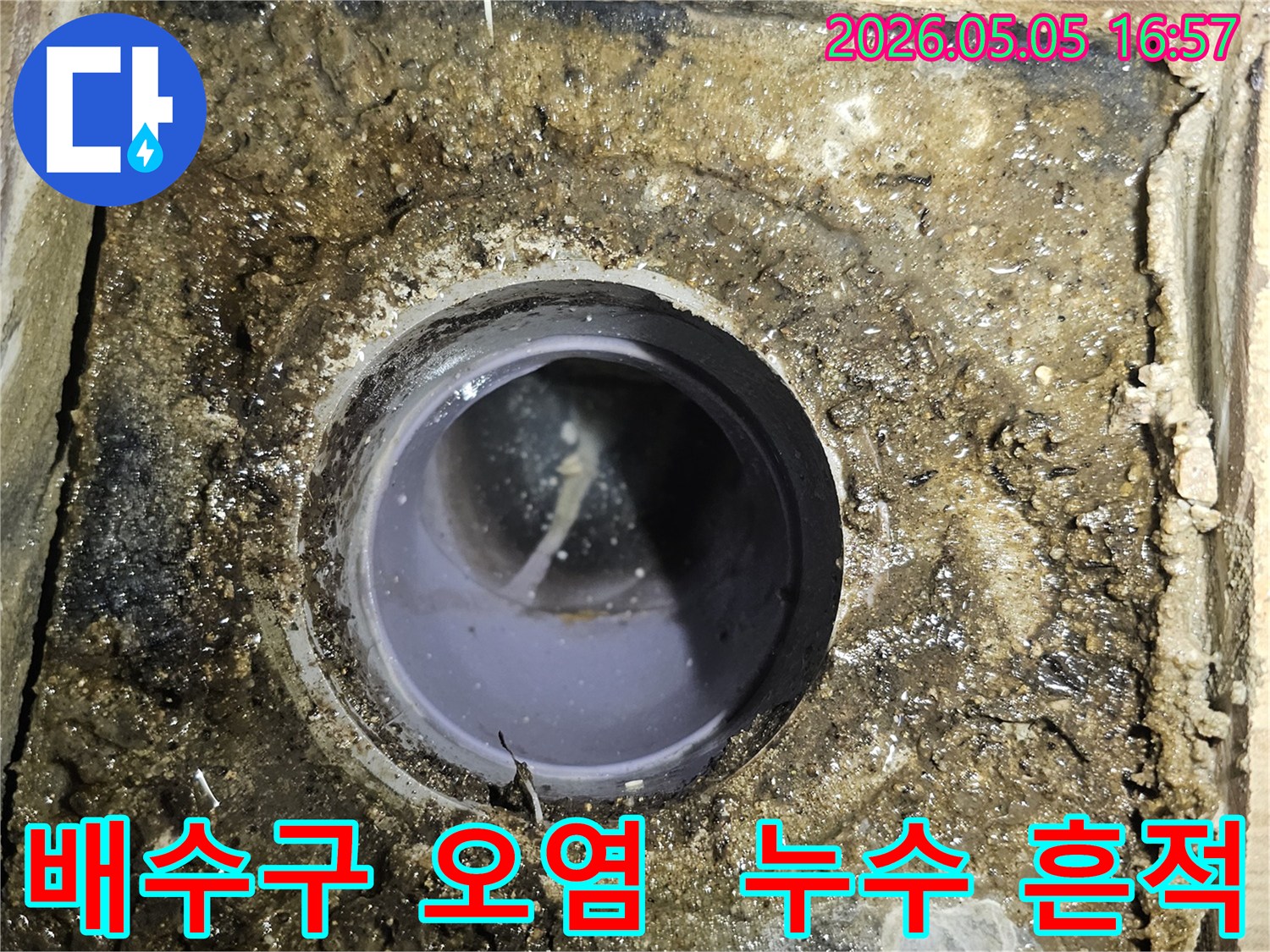 심하게-오염된-배수구-주변-누수-발생-가능성-높은-상황