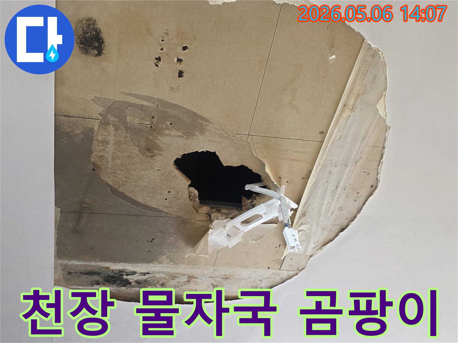 천장에-물자국과-검은-곰팡이가-선명하게-보이며-일부가-파손된-누수-피해-현장