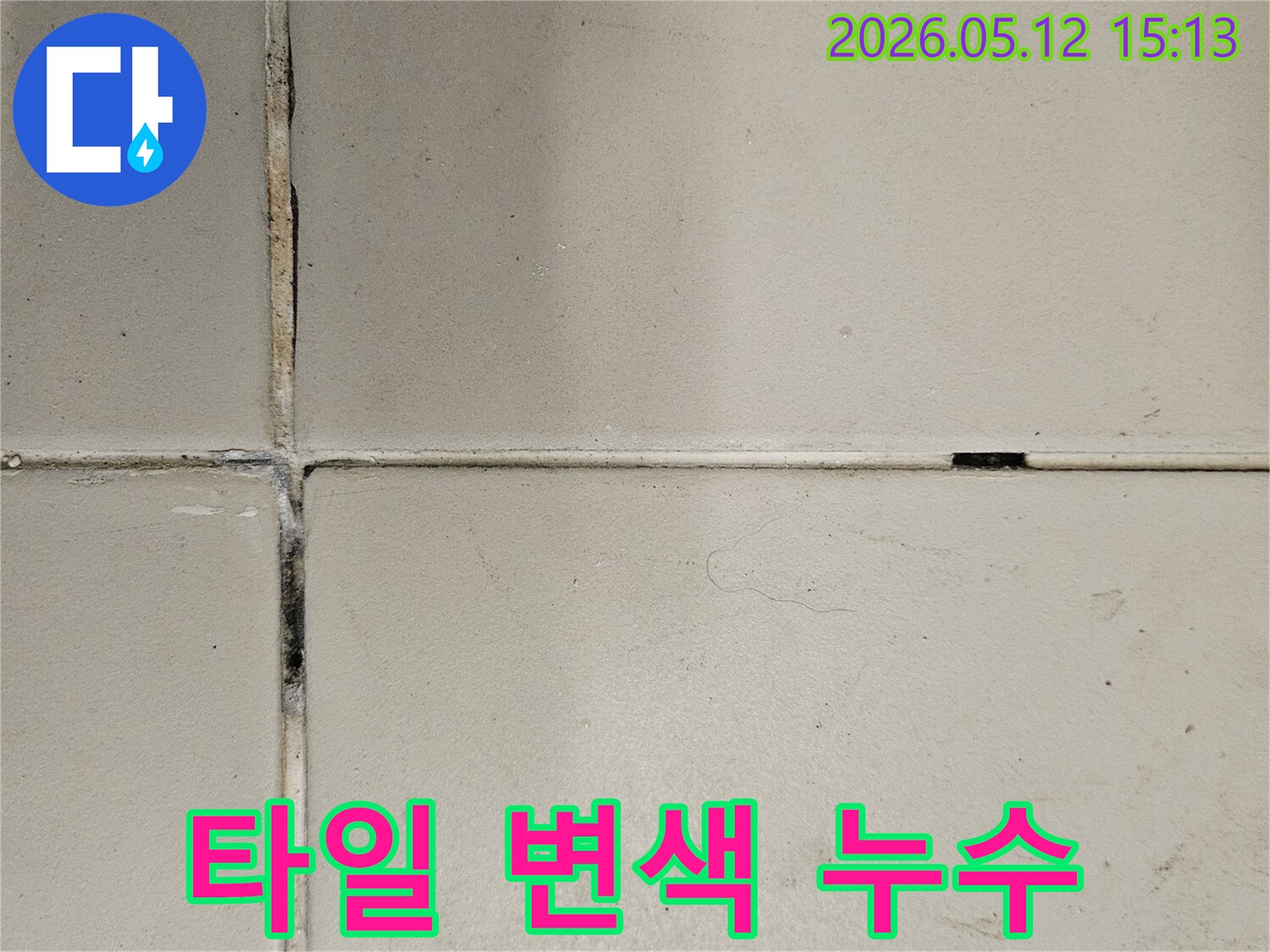 누수-전문가가-현장에서-발견한-타일-줄눈의-심각한-오염-상태를-기록한-이미지입니다