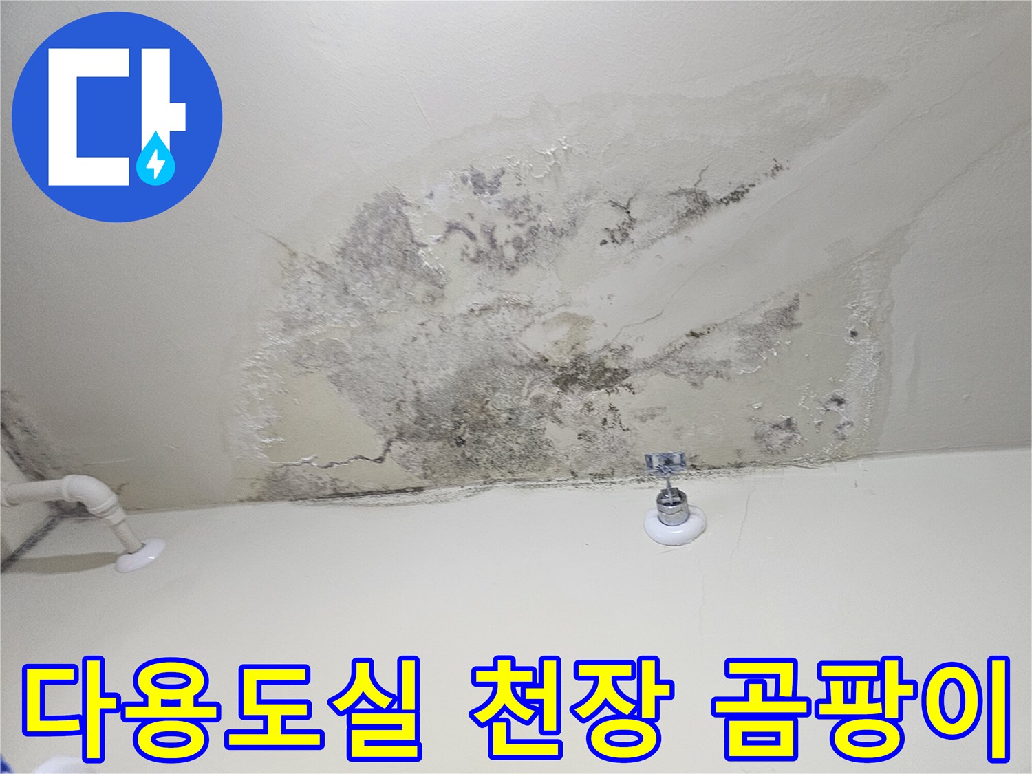 시흥 아파트 다용도실 천장에 발생한 검은 곰팡이와 물얼룩 상태