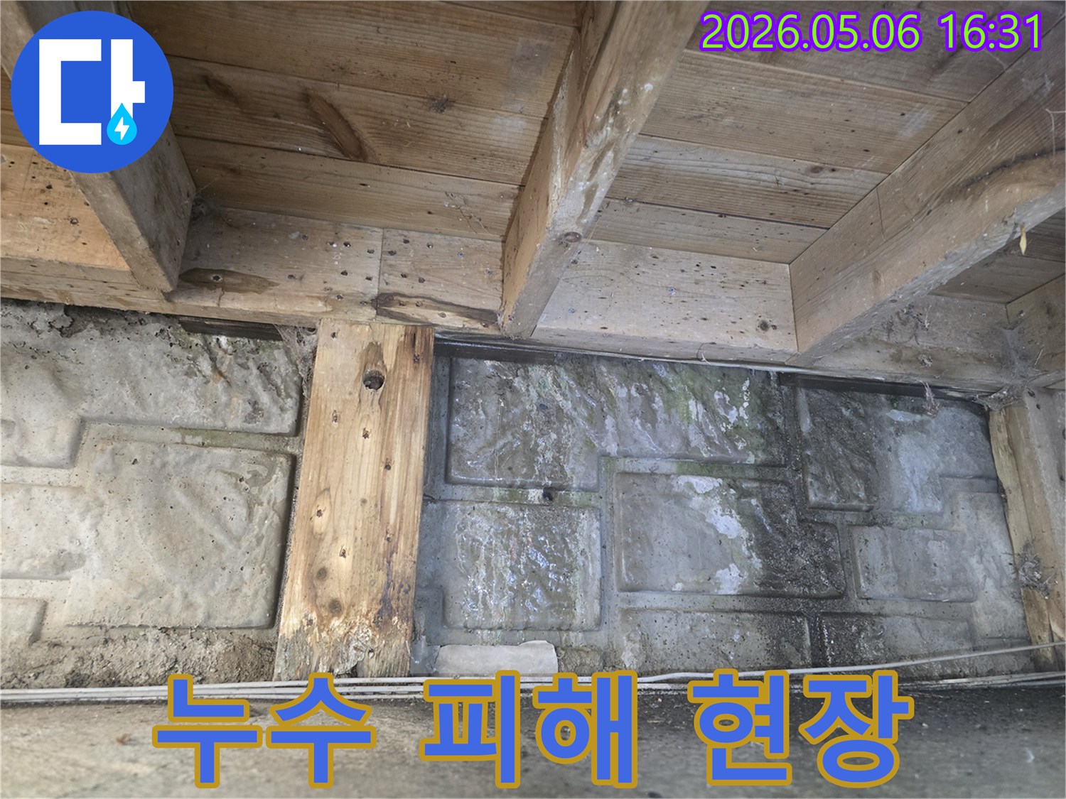 누수로 인해 목재가 젖고-벽면에 곰팡이가 번식한-건물 하부의 습한 공간 모습