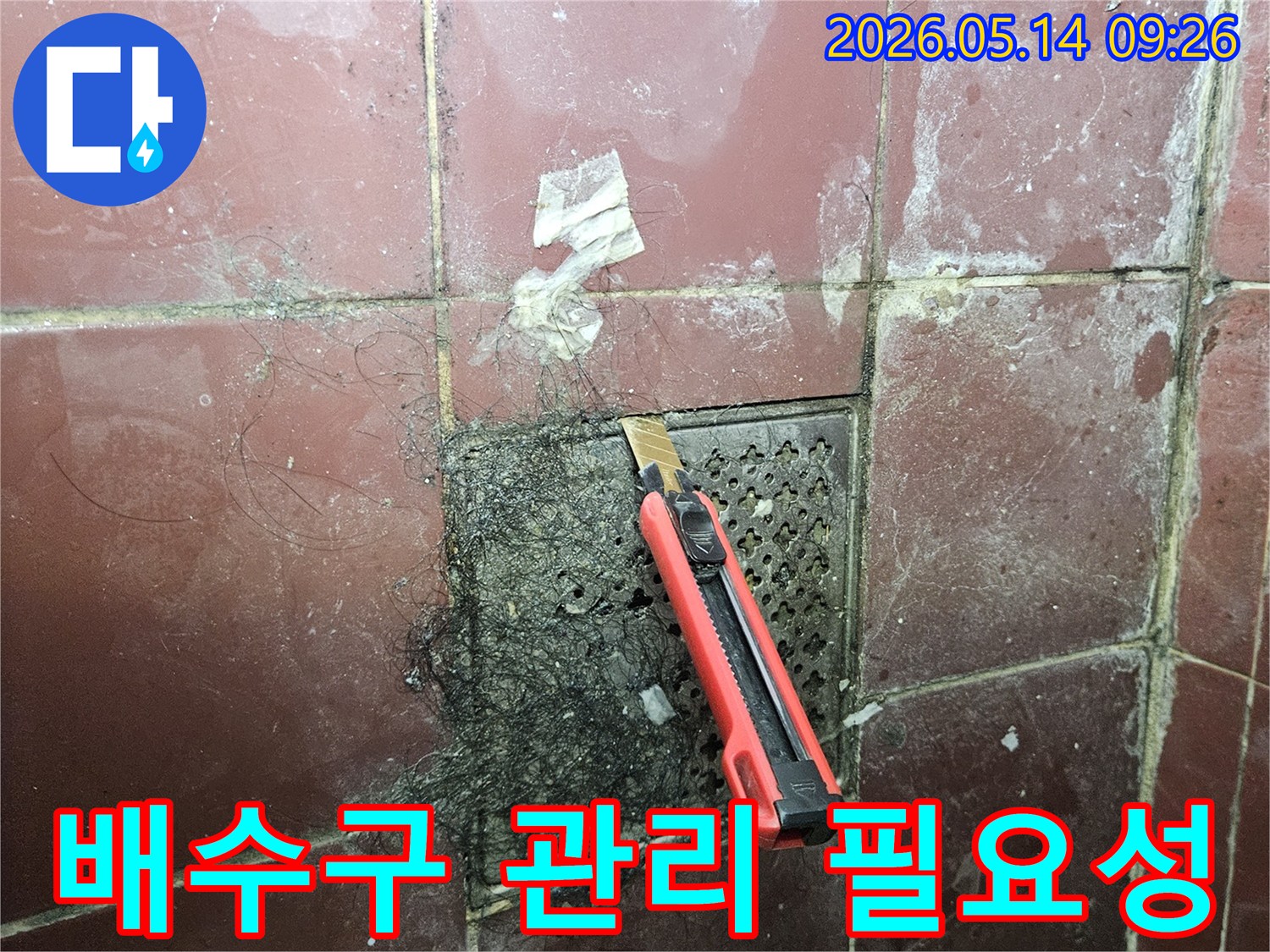 오래된 욕실 바닥 배수구에 엉킨 머리카락과 슬러지를 커터칼로 긁어내며 배수구 관리의 필요성을 보여주는 모습