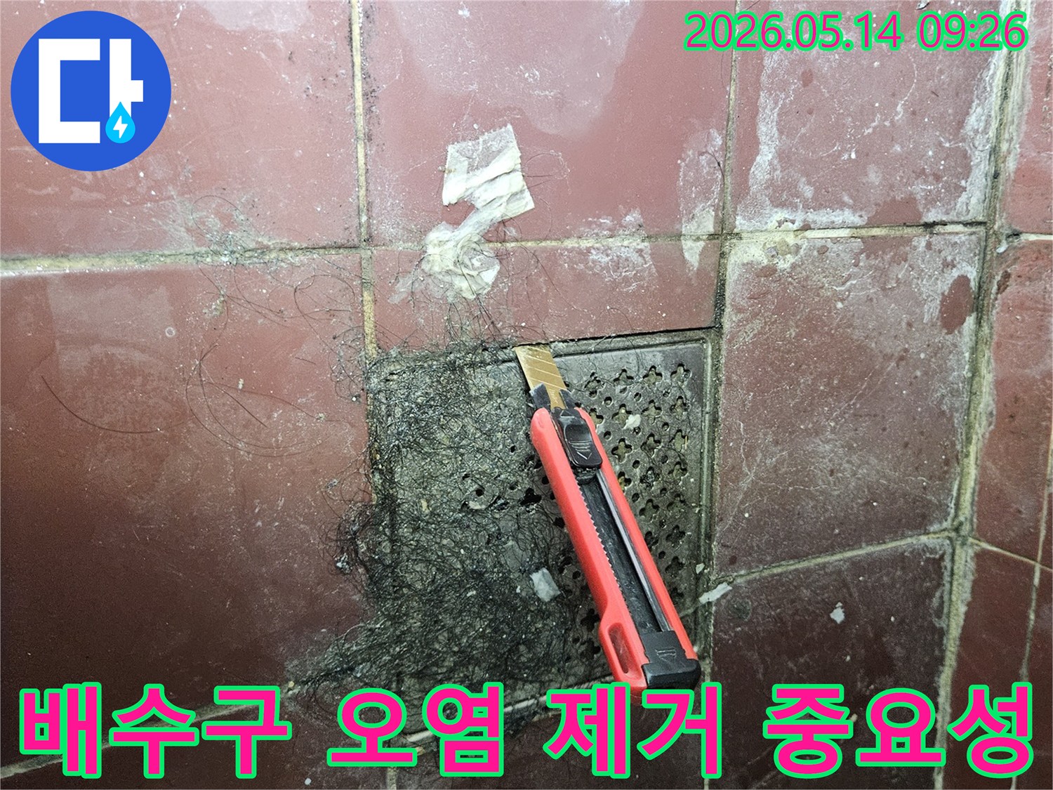오래된 욕실 배수구에 엉킨 머리카락과 슬러지를 커터칼로 긁어내며 배수구 오염 제거의 중요성을 보여주는 모습