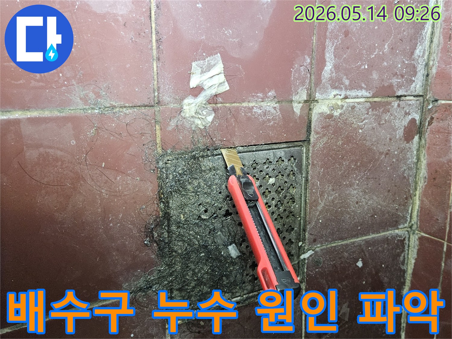 오래된 욕실 배수구에 엉킨 머리카락과 슬러지를 커터칼로 긁어내며 정확한 누수 원인 파악을 위한 노력