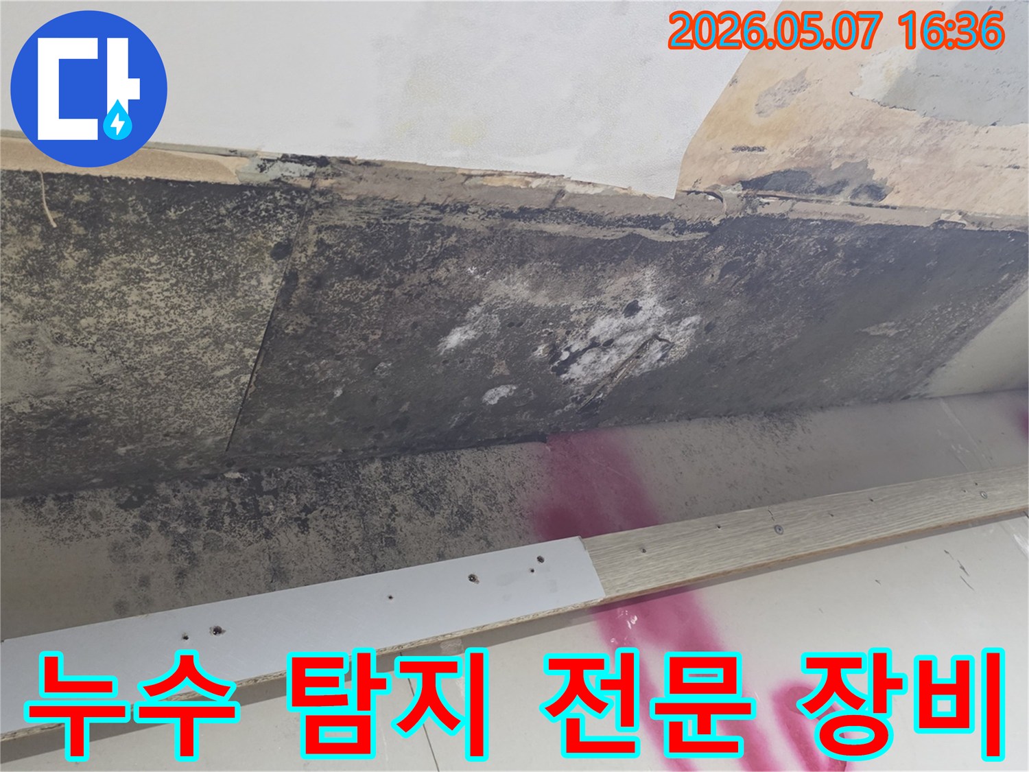 천장-누수-현장에서-정밀-탐지를-위해-첨단-장비-도입을-준비하는-모습