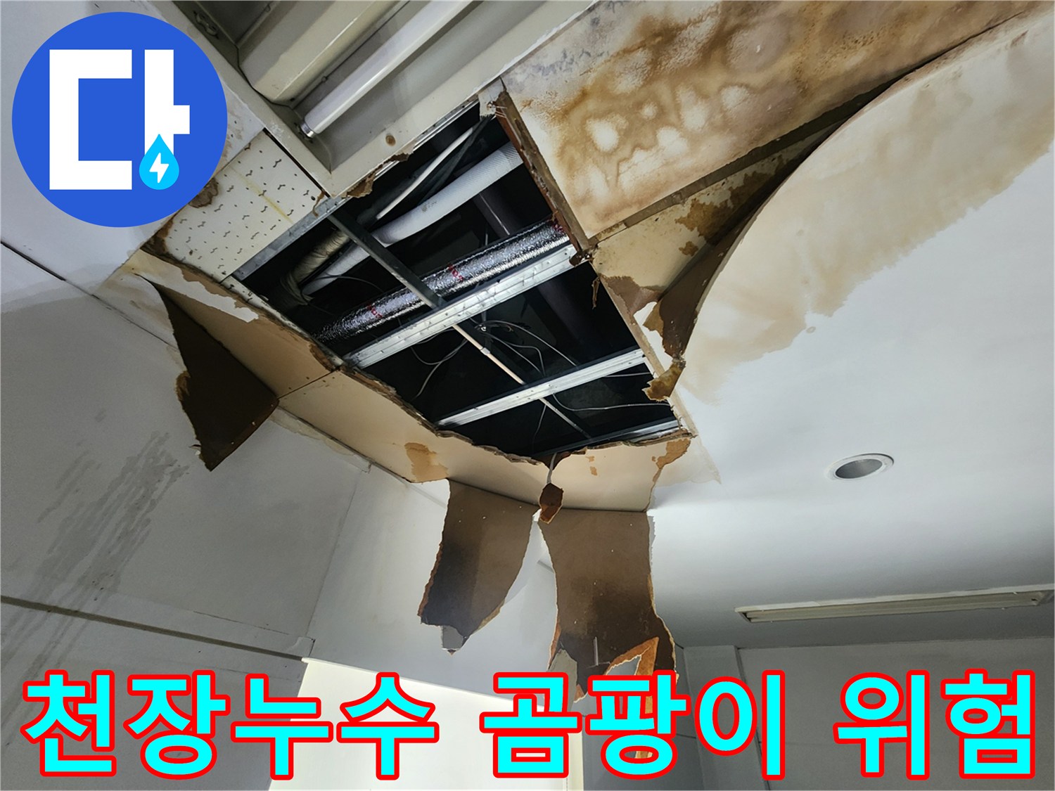 물에 젖어 어둡게 변색된 천장 내부와-손상된 마감재를 통해-습기와 곰팡이 발생 위험을 진단하는 모습입니다