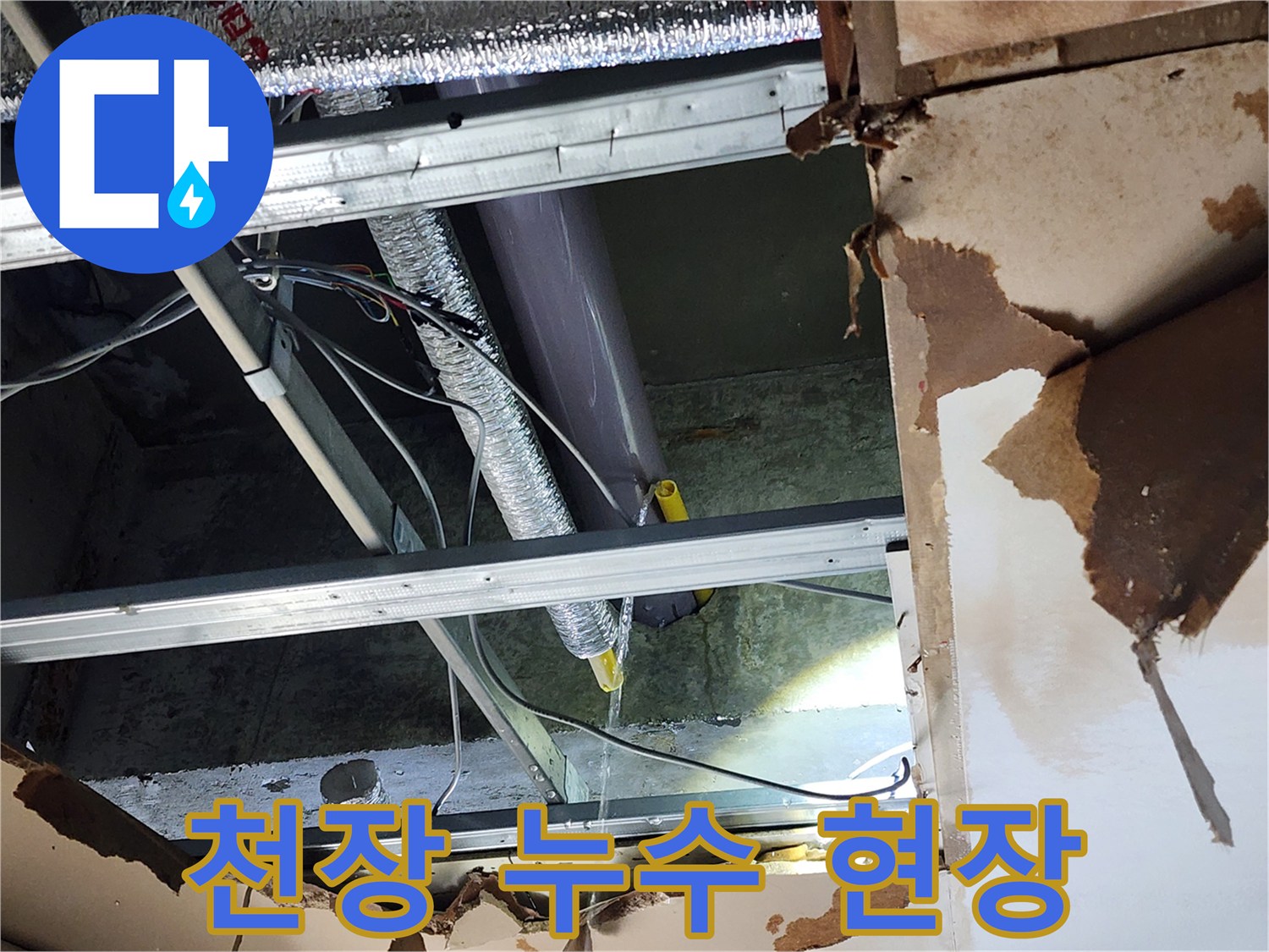 천장-누수-현장에서-배관-파열로-인한-물샘-현상을-정밀하게-확인하는-모습