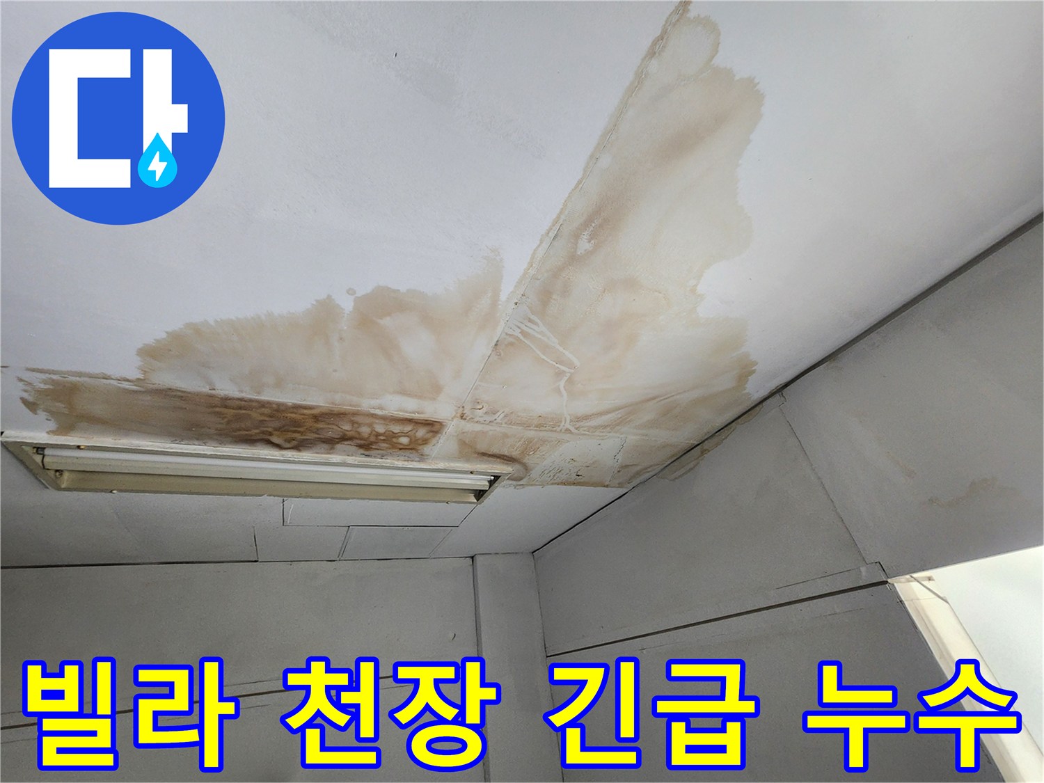 천장 표면에 물이 새어 발생한 갈색 얼룩과 곰팡이가 넓게 퍼져있는-긴급 복구가 필요한 상태