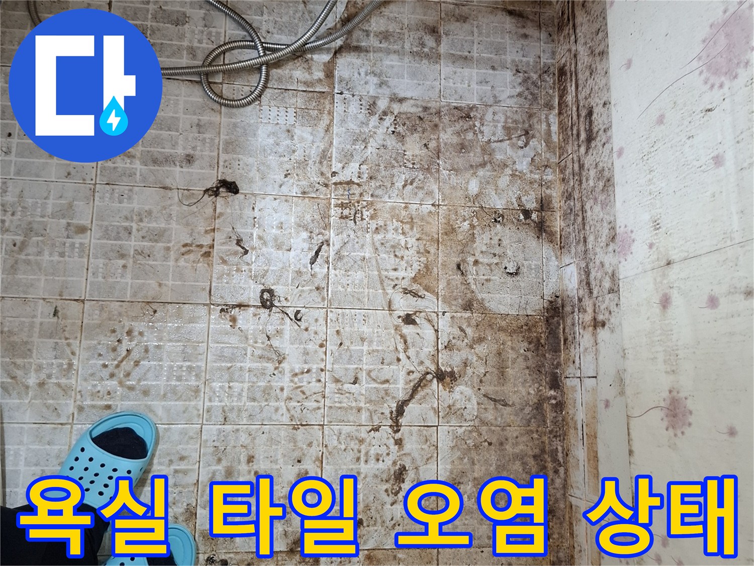 시흥 정왕동 욕실-타일 사이 곰팡이와 물때가 심하게 발생한 모습