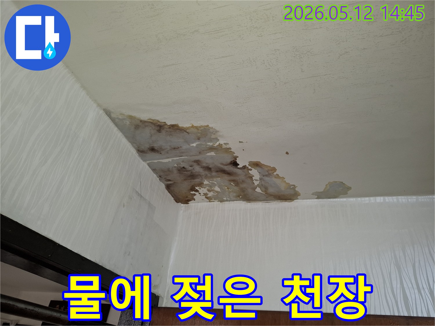 천장 누수가-오래 진행되어-벽지 탈락과-곰팡이가-동반된-주택 내부의-손상된-부분을-보여줍니다
