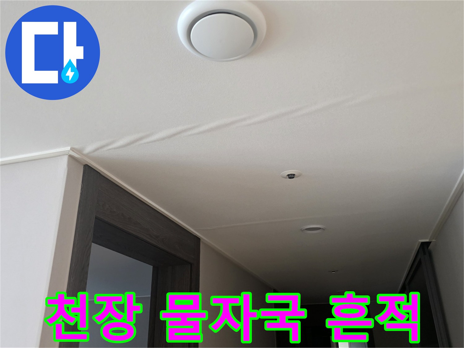 아랫집 천장에 생긴 물 얼룩과 젖은 흔적 - 누수 진단 현장