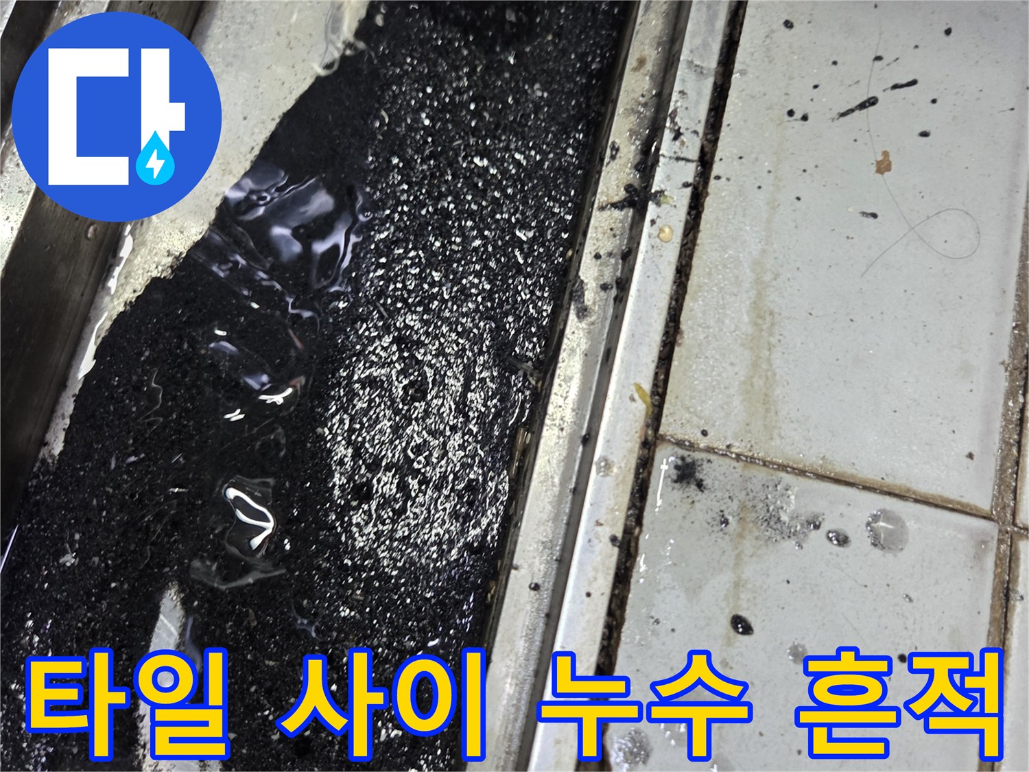 도봉구 식당 바닥 타일 틈새로 흘러나온 검은색 오수와 배관 상태