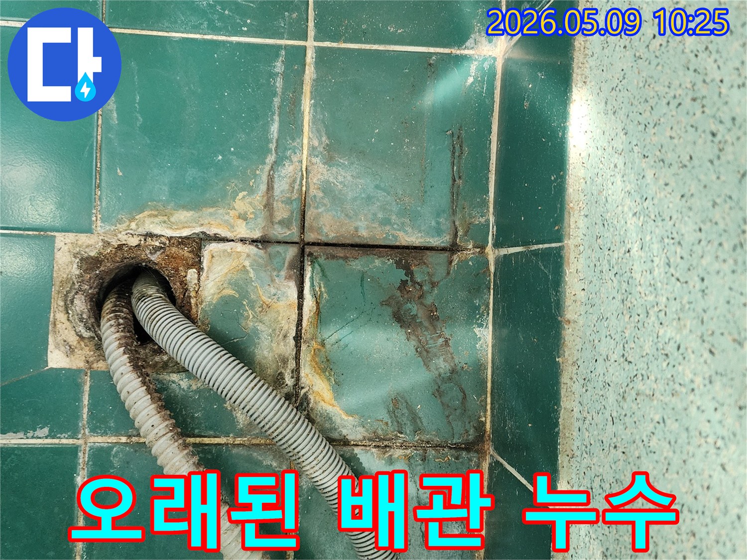 욕실 바닥 배수구에 연결된 오래된 배관에서-누수가 발생하여 주변이 오염된 모습입니다