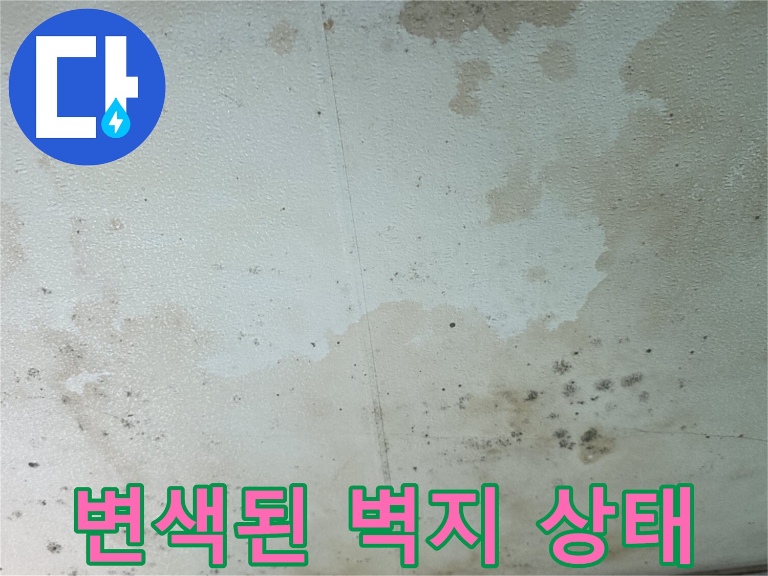 누수로 인해 갈색으로 변하고 곰팡이가 번진 빌라 내부 벽면