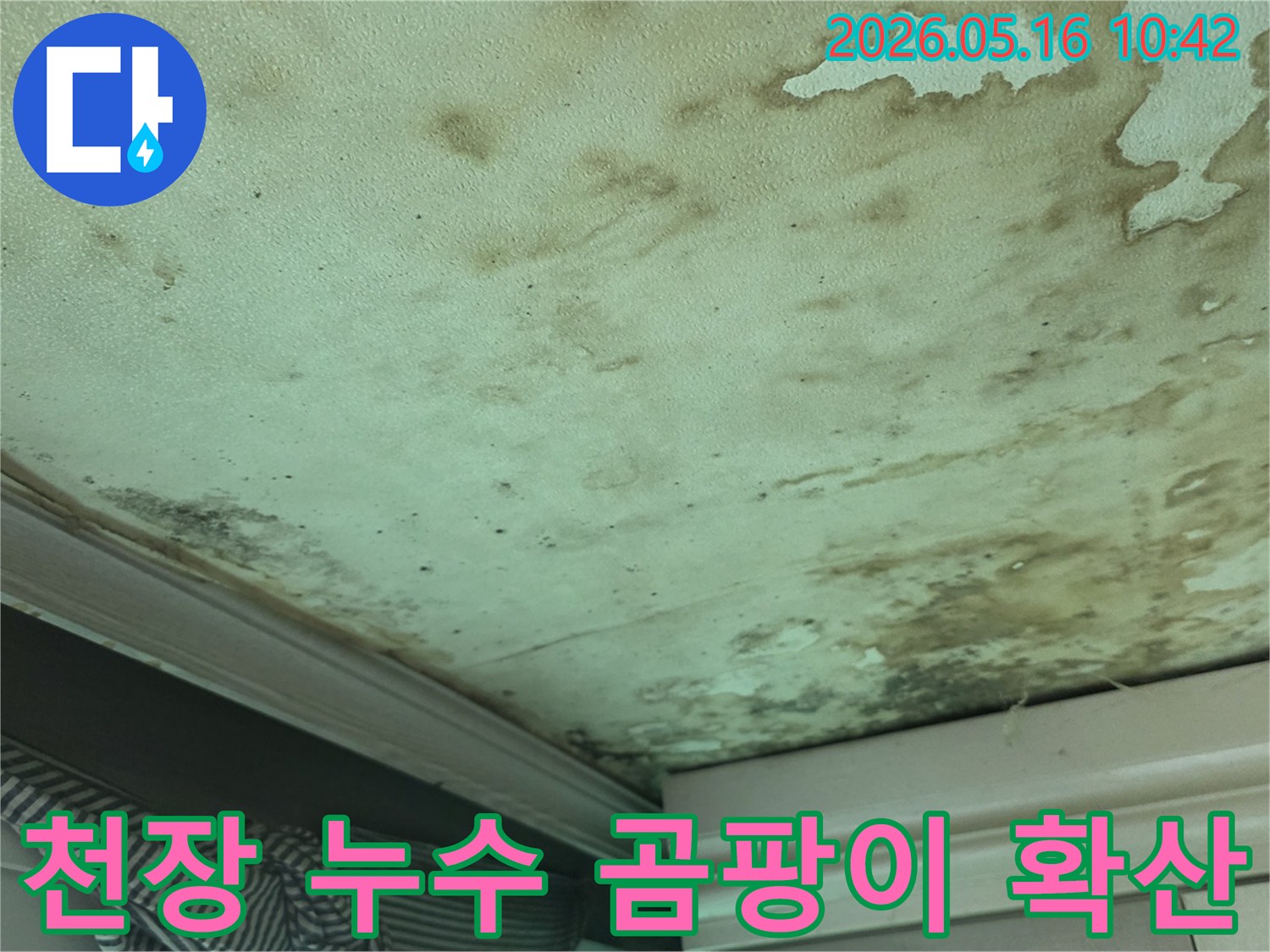 누수로-인해-천장에-발생한-물자국과-곰팡이가-넓게-확산된-심각한-상태입니다