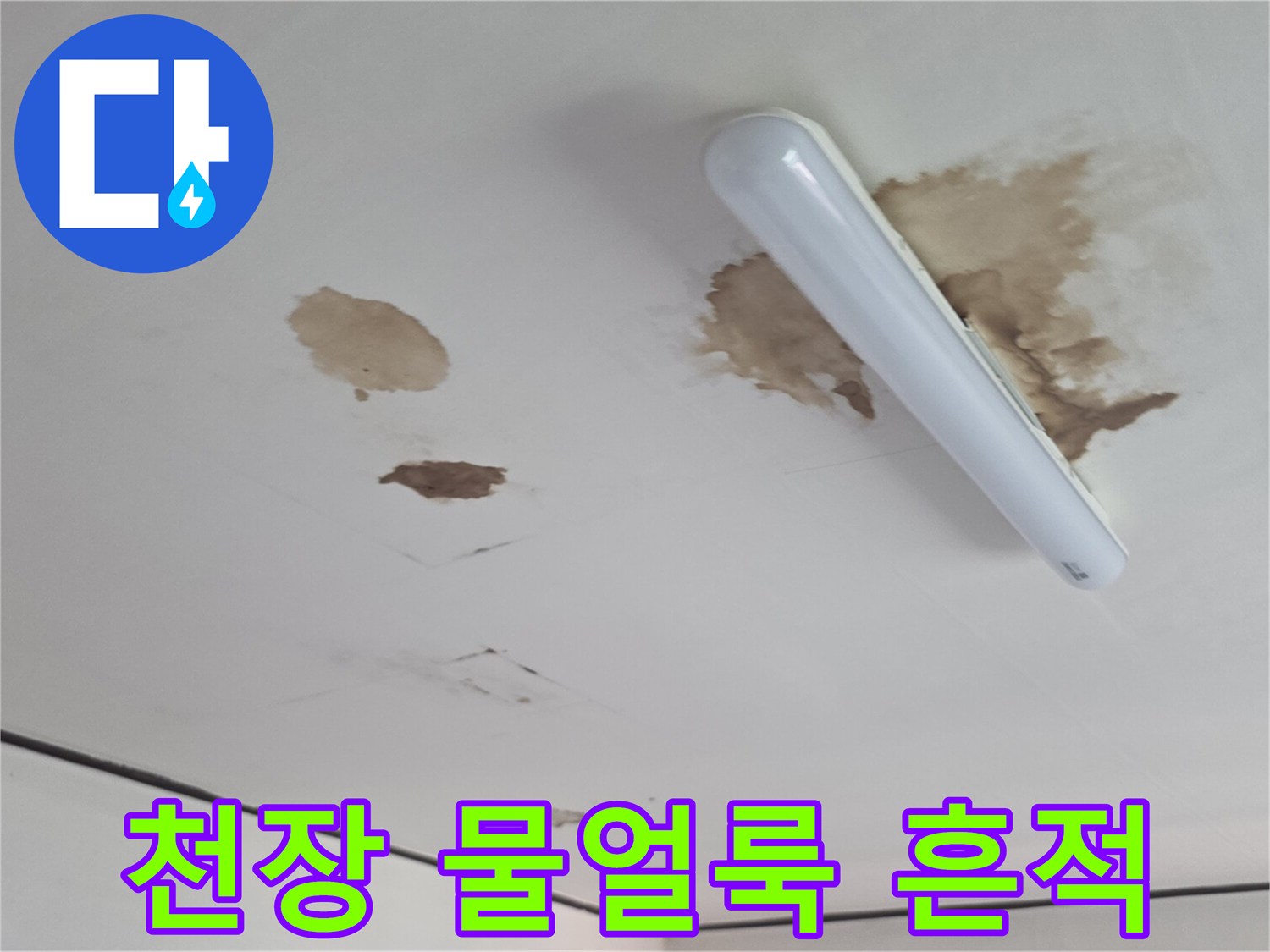 인천 유동 빌라 천장 조명 주변의 갈색 물얼룩 현상