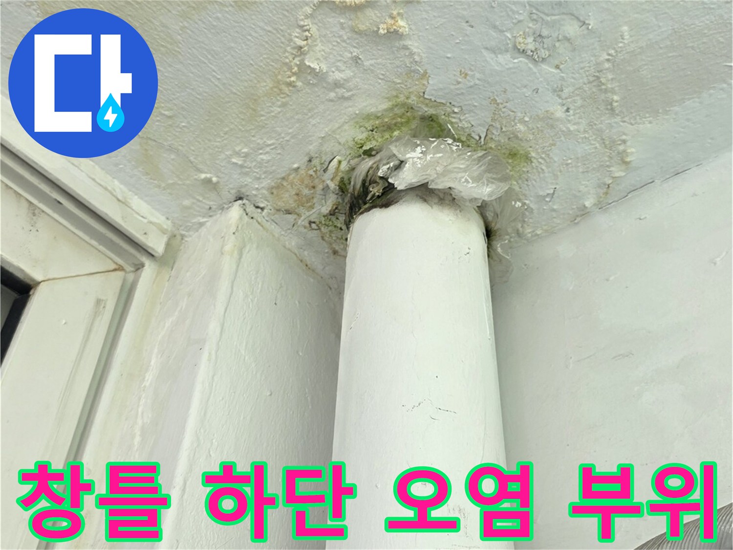 배관-연결부-주변의-심한-습기-및-곰팡이-번식