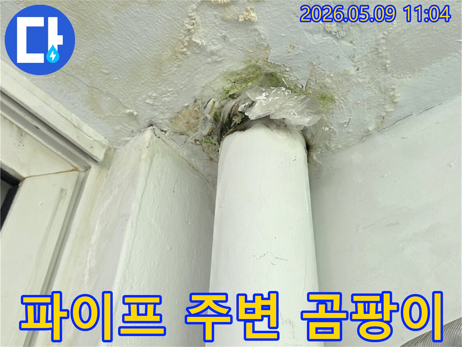 베란다 벽면-파이프 주변에서-발견된 물샘과-초록색 곰팡이-누수 현장