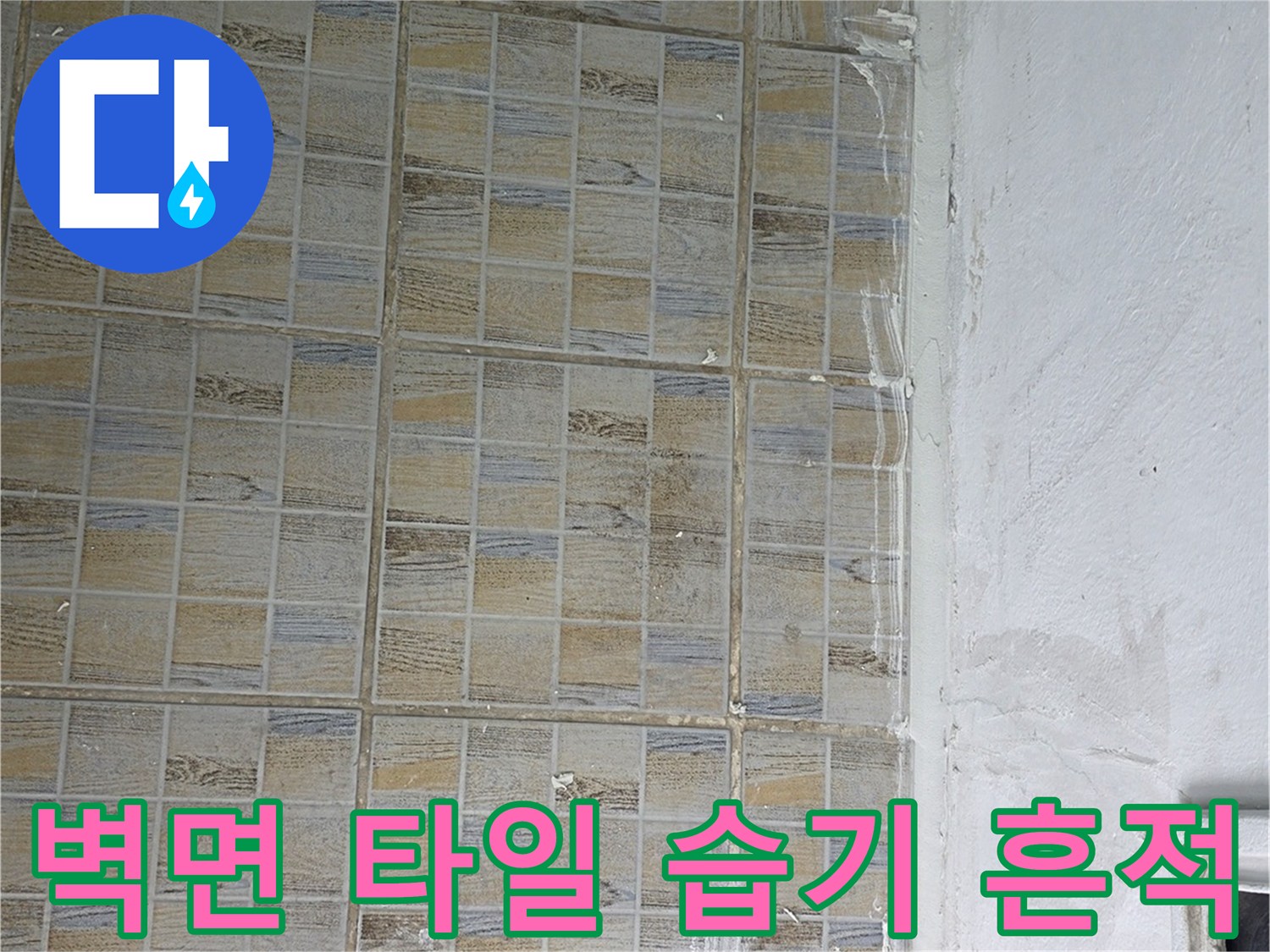 습기를 머금은 베란다 벽 - 상단 타일 부위의 누수 자국 상세 사진