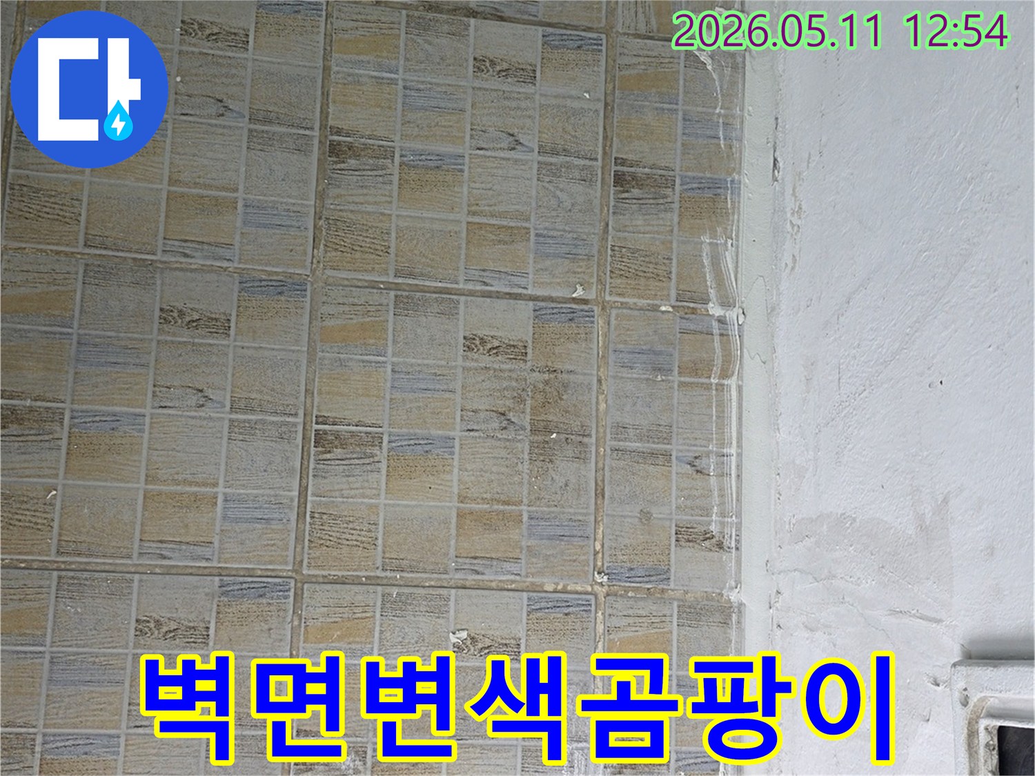 타일-위쪽-벽면의-변색과-습기로-인한-곰팡이-발생-우려-상황을-보여주는-사진