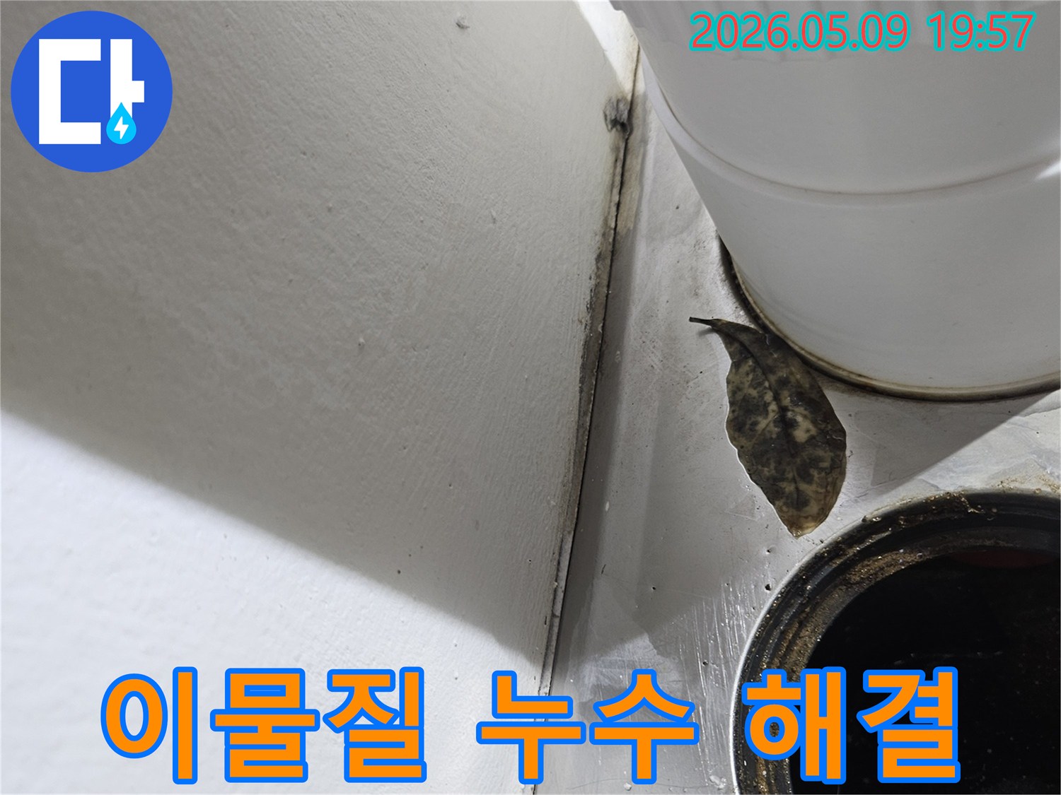 배수관 주변의-이물질과 오염은-누수 공사를 통한-근본적인 해결이-필요함을 보여줍니다.