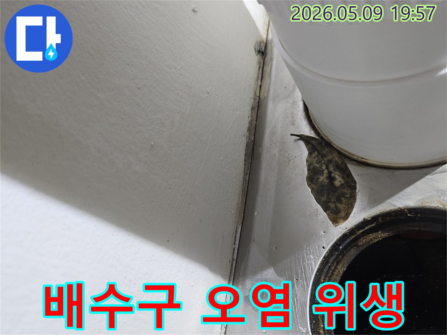 배수구 주변의-심각한 오염과-이물질은-위생 문제와-누수 해결의-필요성을 보여줍니다.