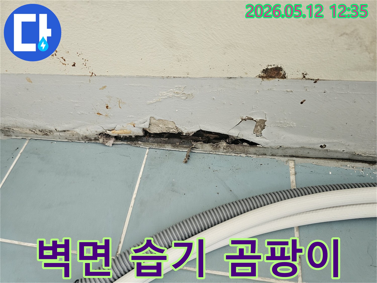 벽과-바닥-타일-경계면에서-발생한-심각한-누수-피해로-페인트가-벗겨지고-벽면이-손상된-모습