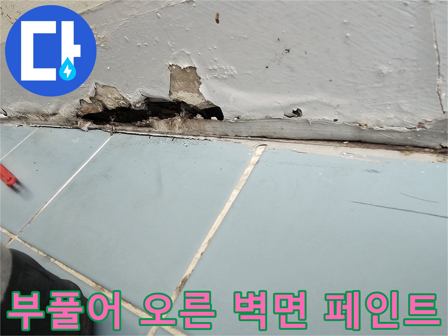 영통구 세탁실-벽면 하단부 습기 침투 및 도장층 탈락